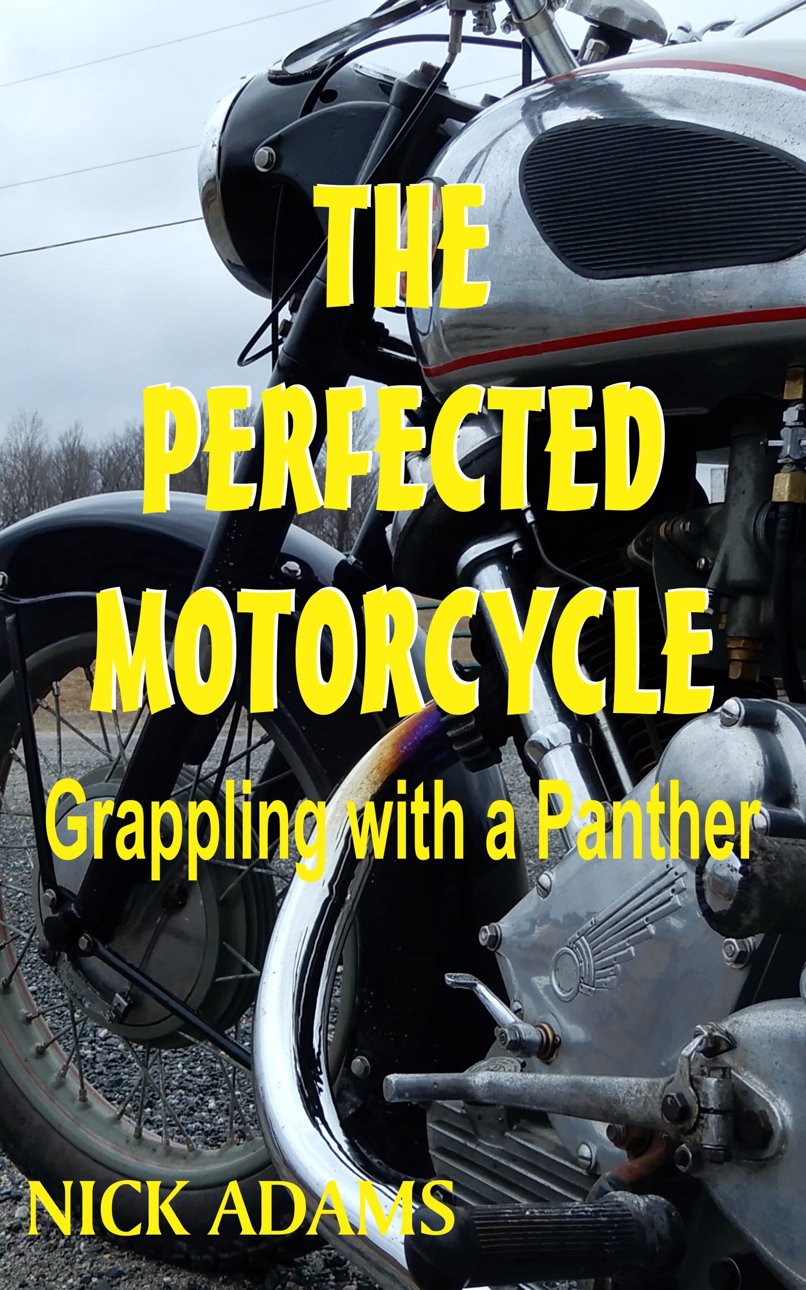 The Perfected Motorcycle: Grappling with a Panther
