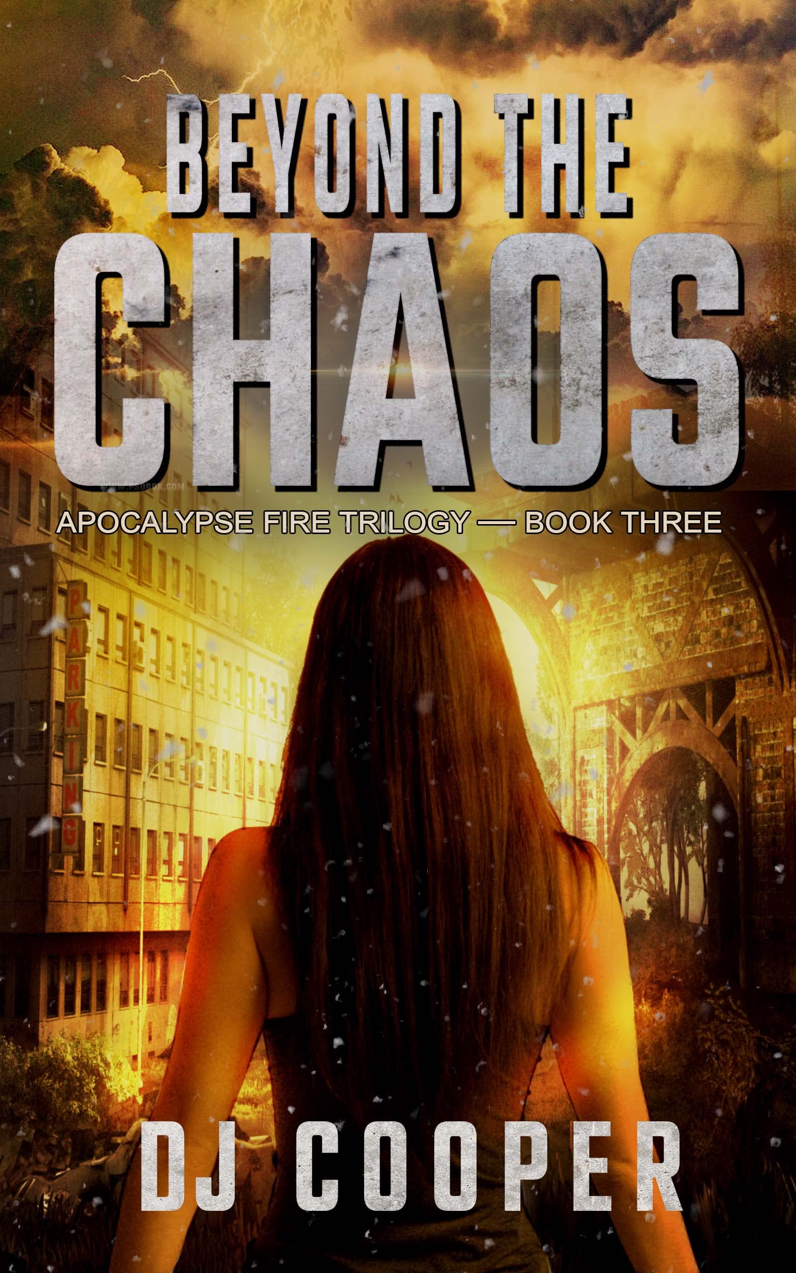 Beyond The Chaos book cover