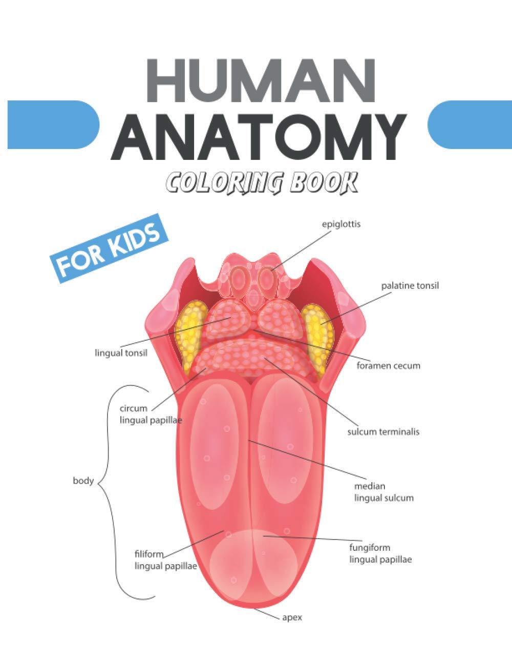 Human Anatomy Coloring Book For Kids An Entertaining Guide to the