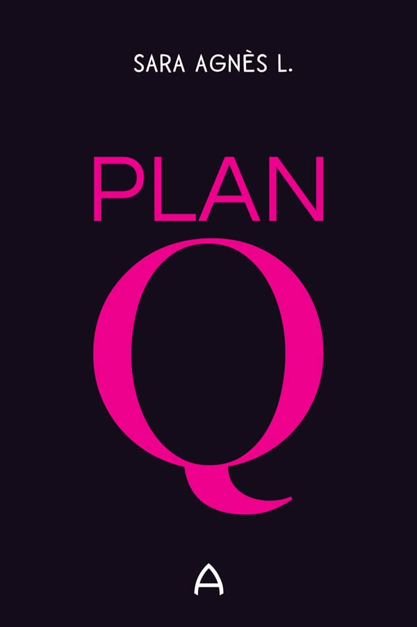 Plan Q book cover