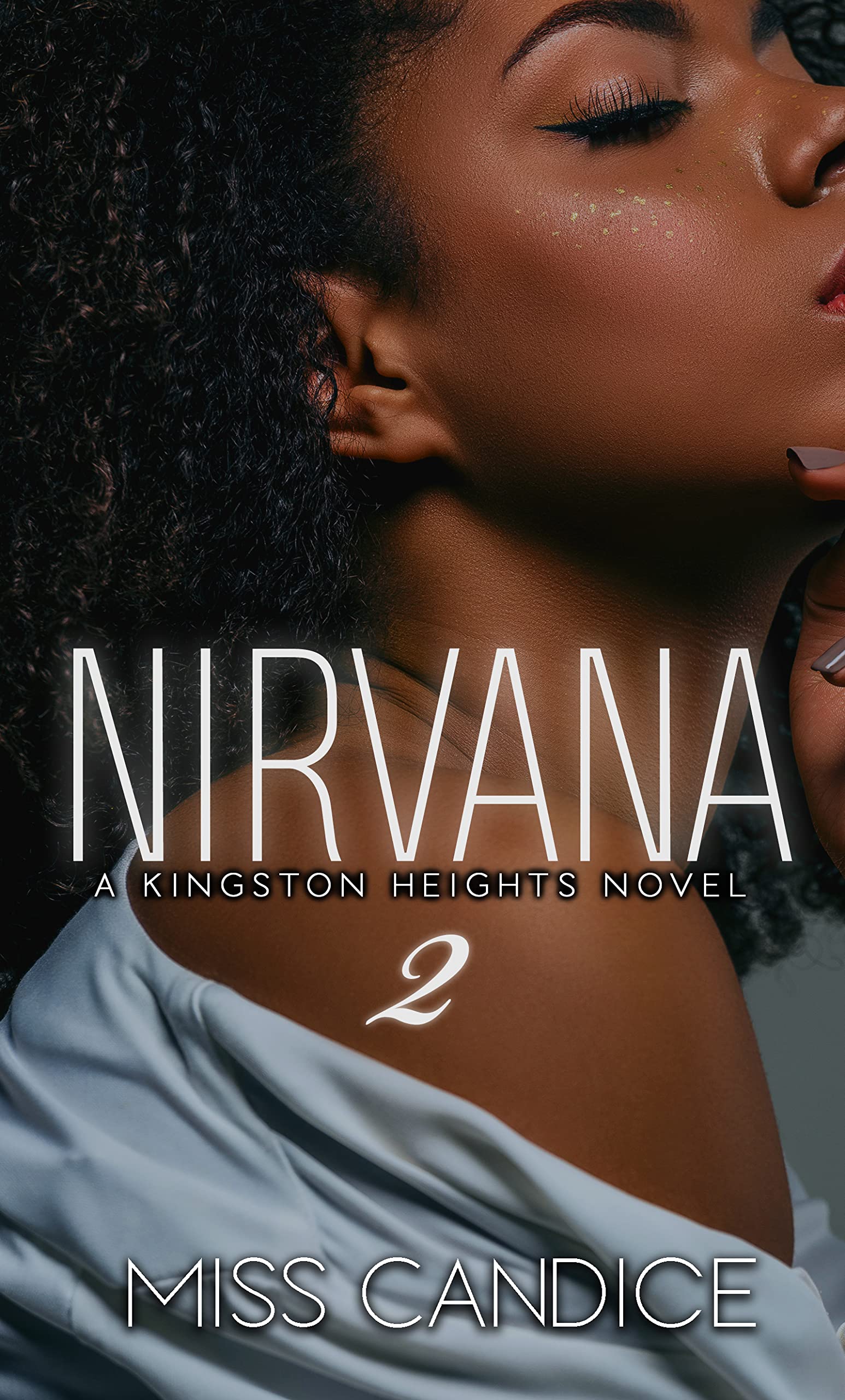 Nirvana 2 book cover