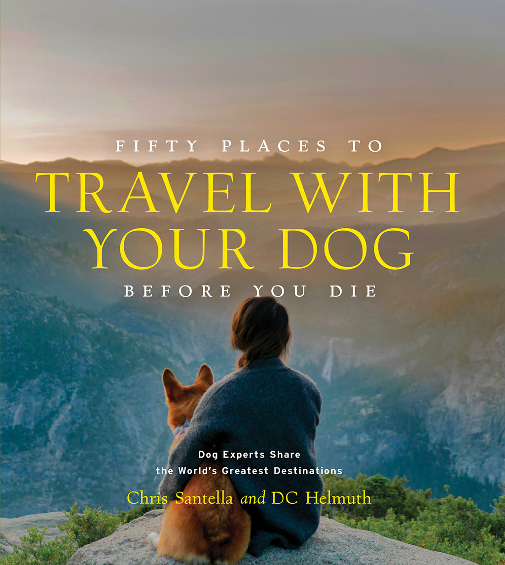 Places to Travel With Your Dog: Top Pet-Friendly Destinations
