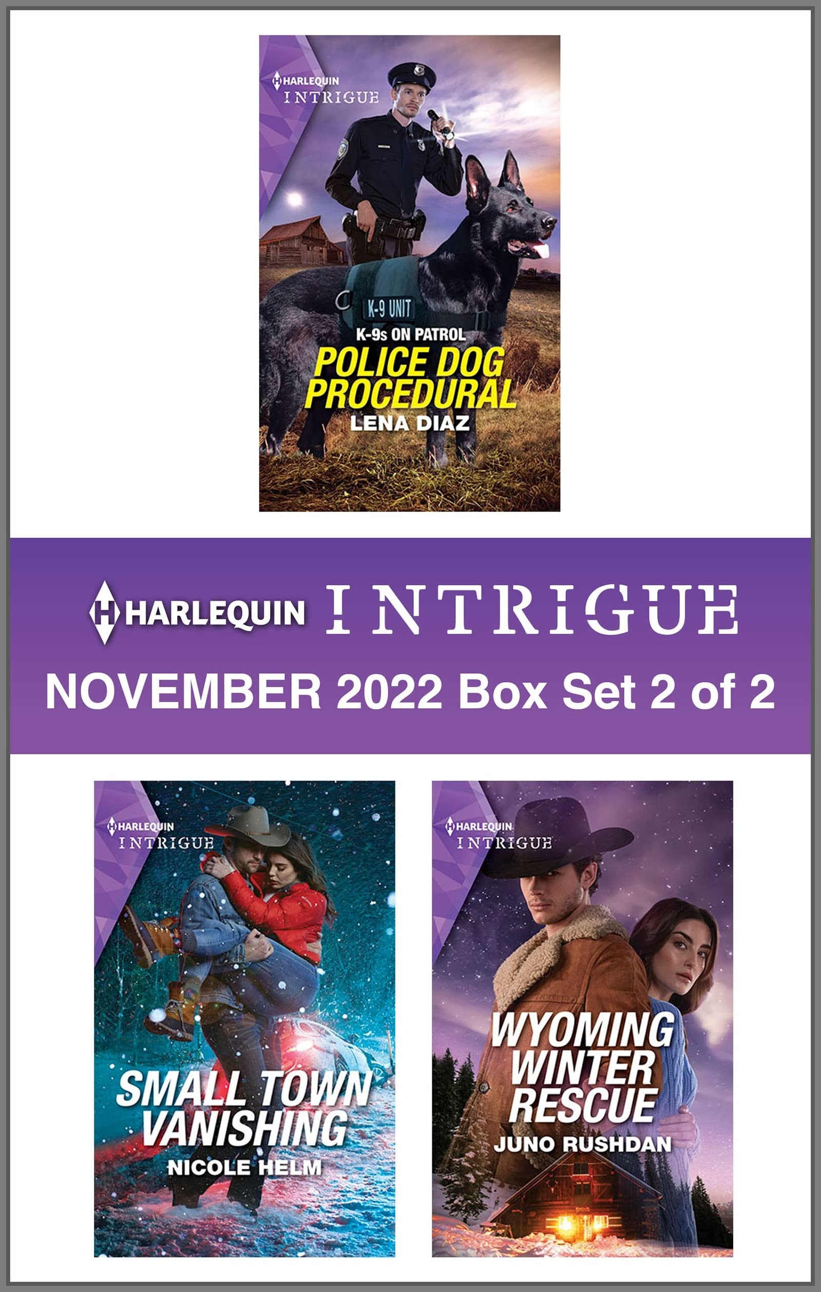 Harlequin Intrigue November 2022 - Box Set 2 of 2: A Family Mystery