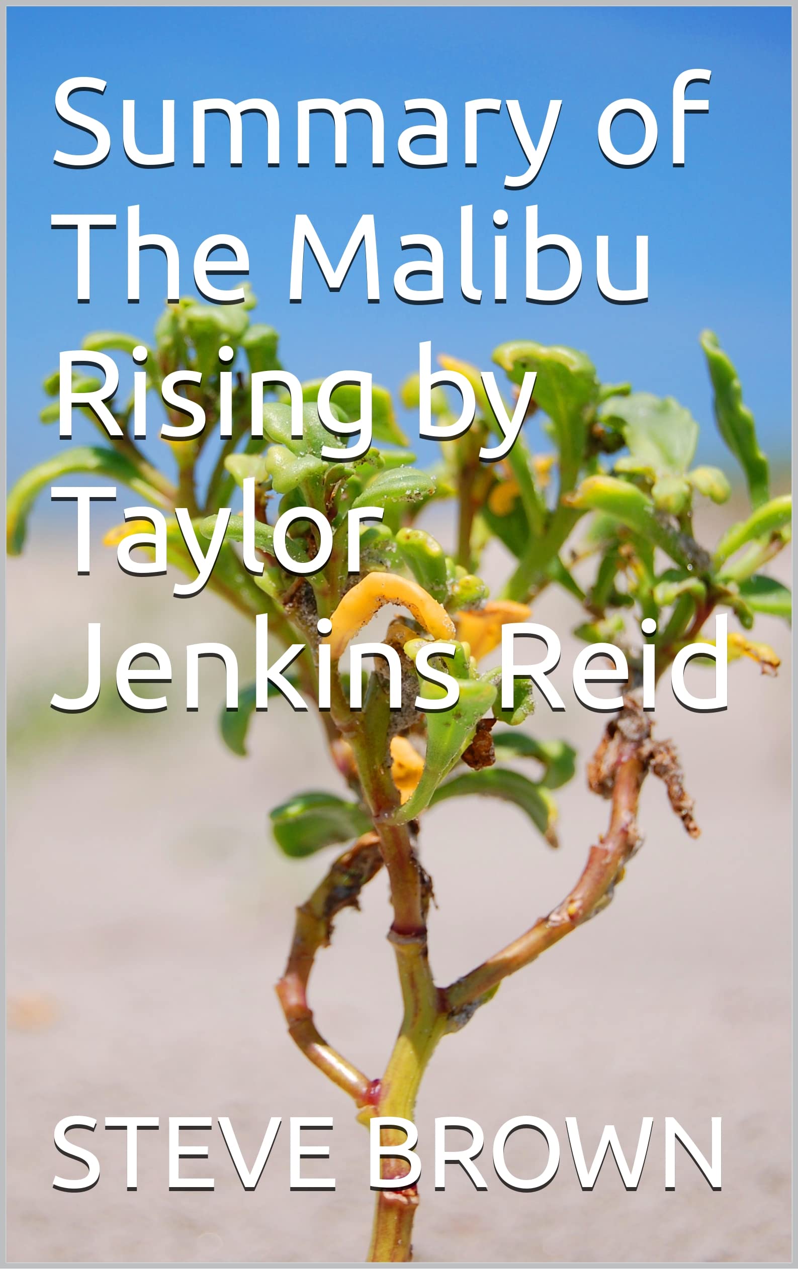 Mailibu Rising Summary of The Malibu Rising by Taylor Jenkins Reid by Steve Brown ...