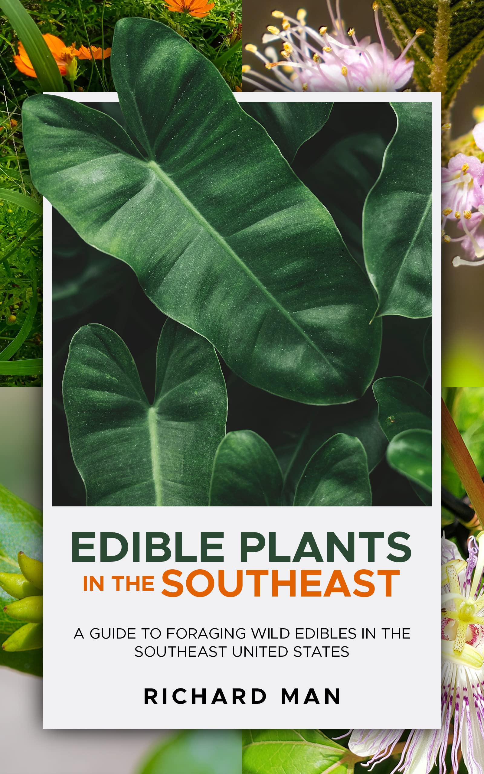 Edible Plants in the Southeast A Guide to Foraging Wild Edibles in the
