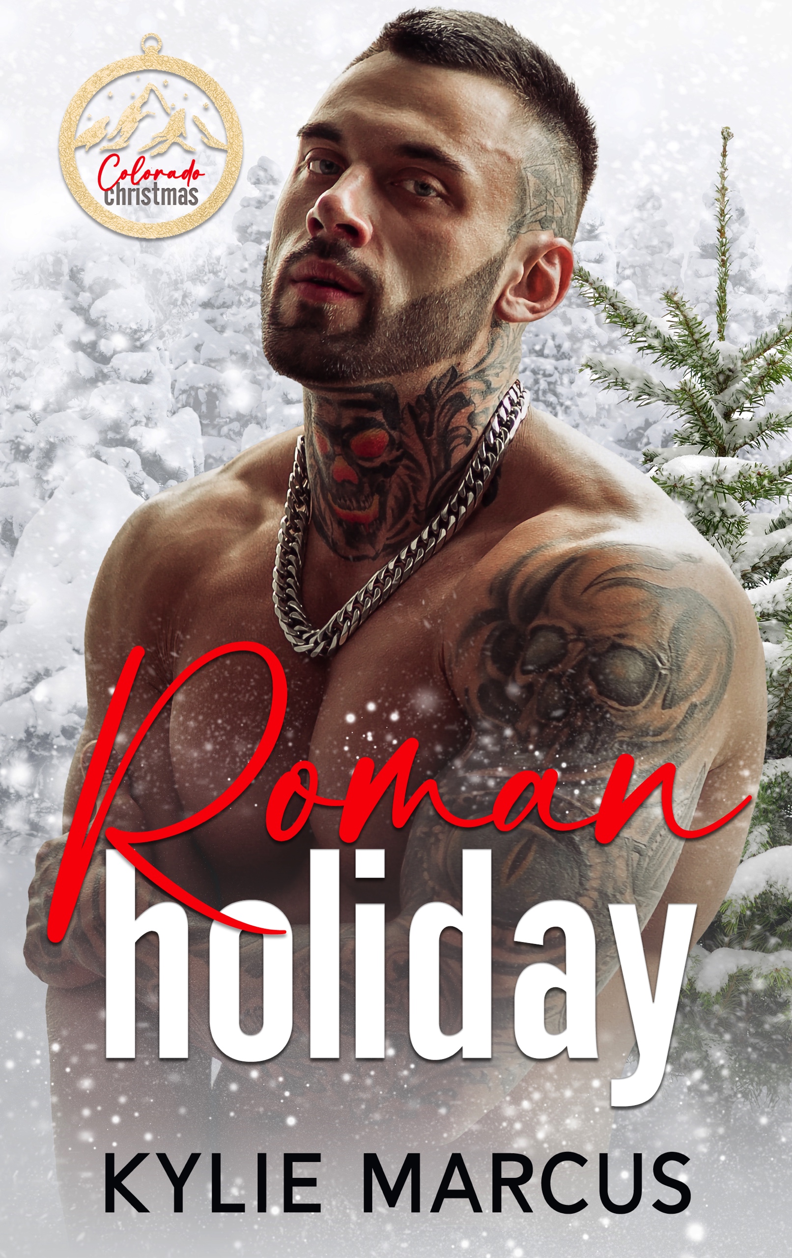 Roman Holiday book cover