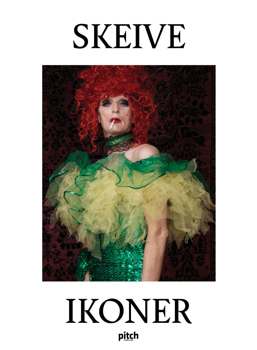 Skeive ikoner book cover