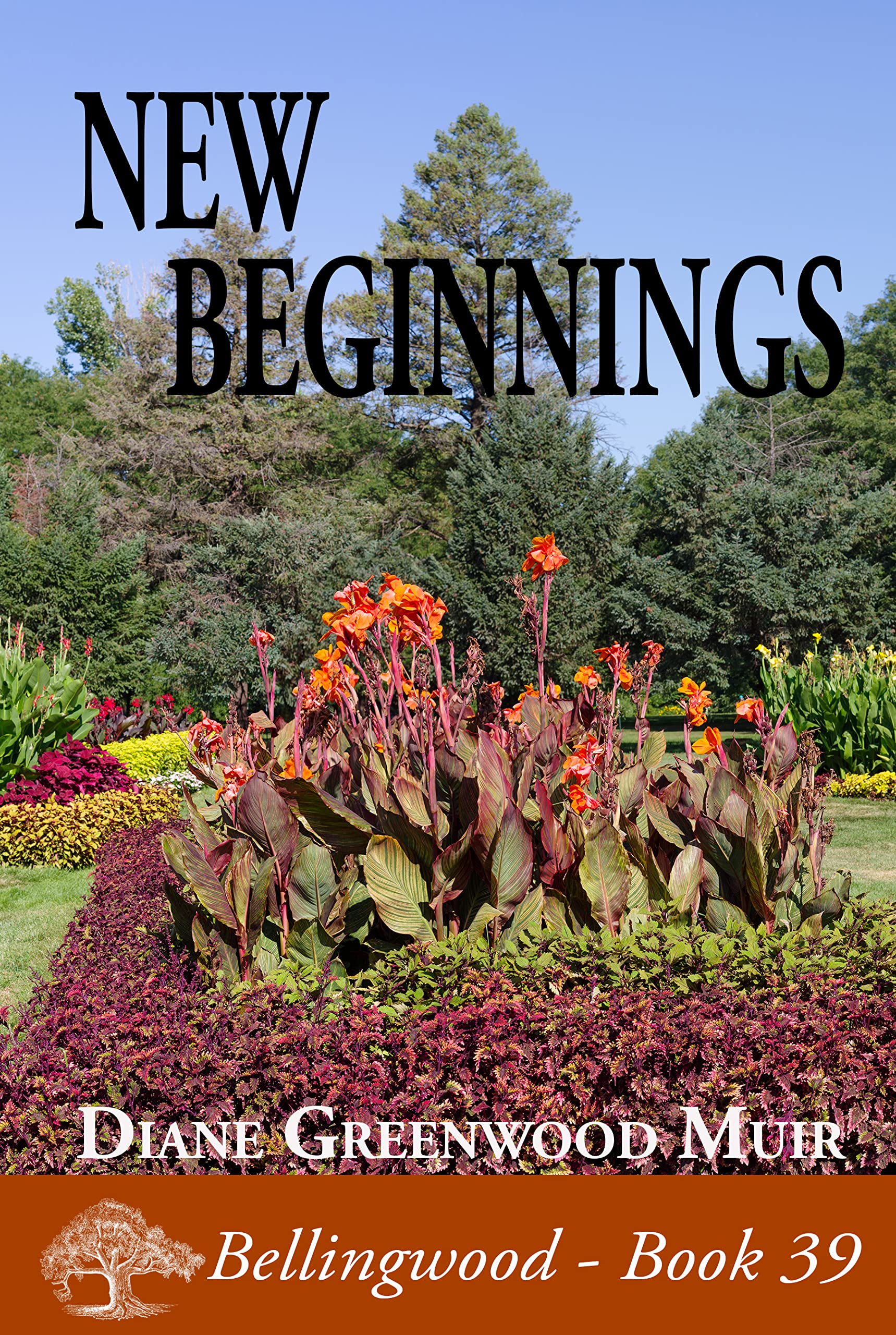 New Beginnings