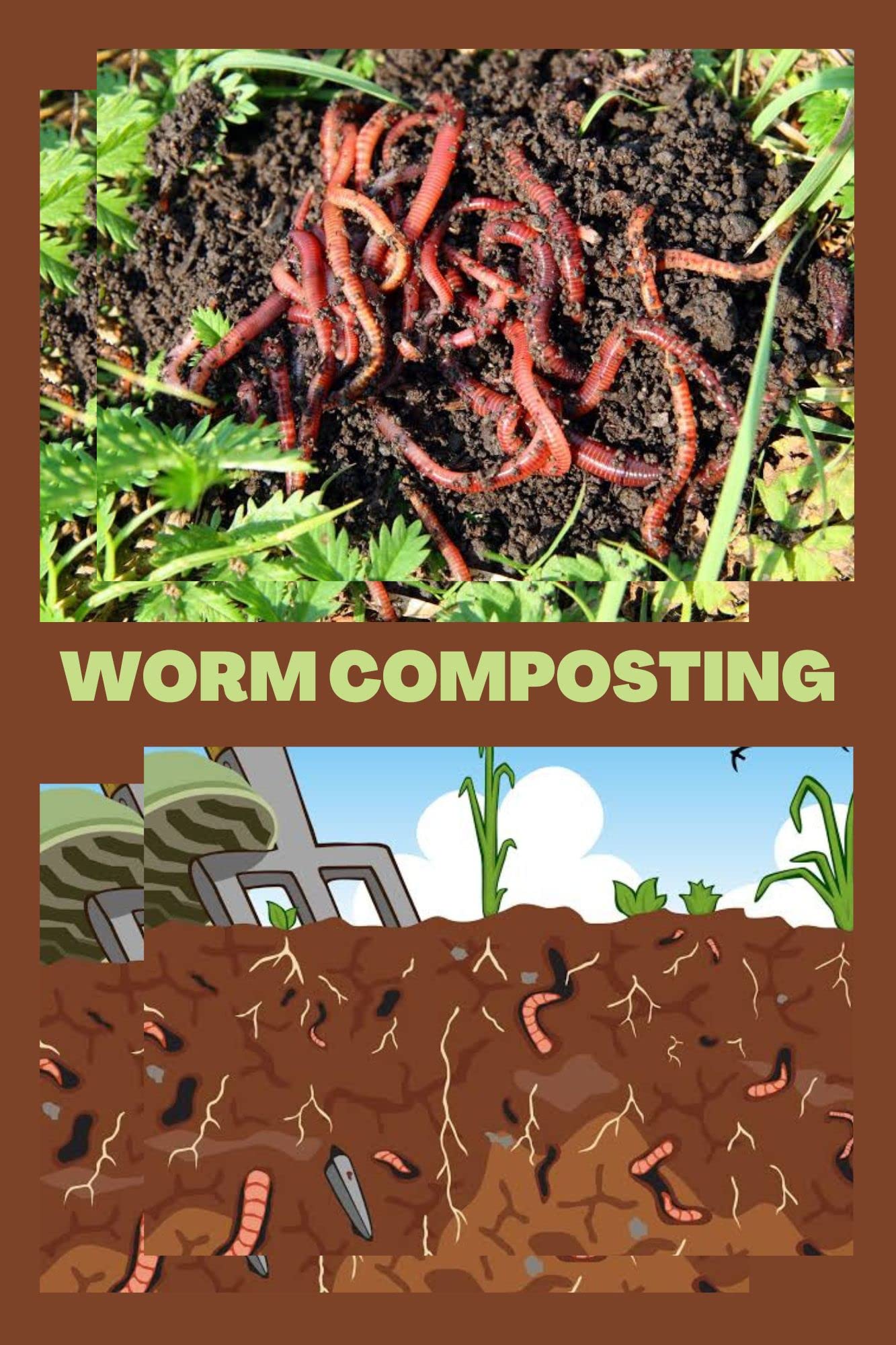 WORM COMPOSTING The ultimate guide on worm composting for beginners