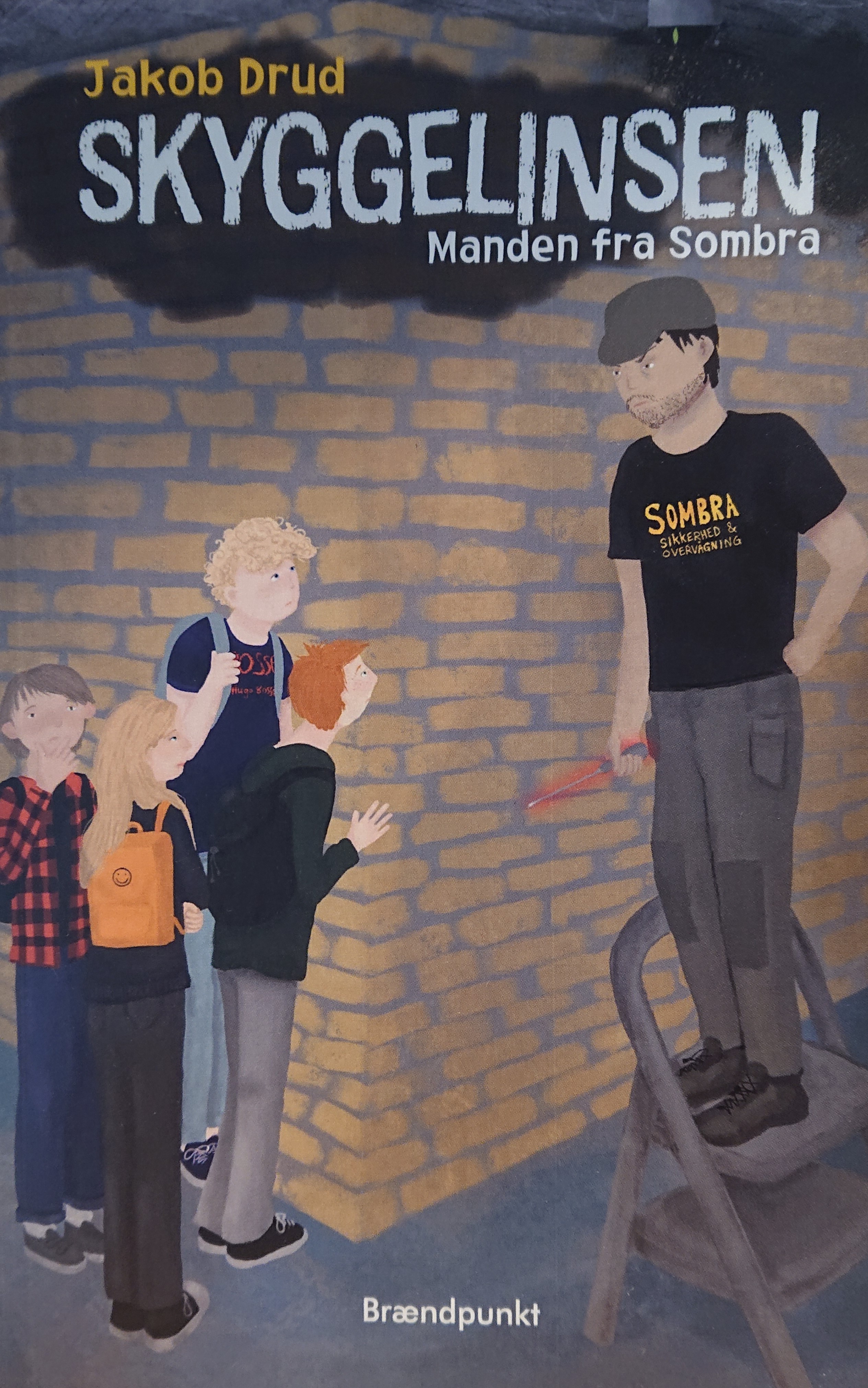 Manden fra Sombra book cover