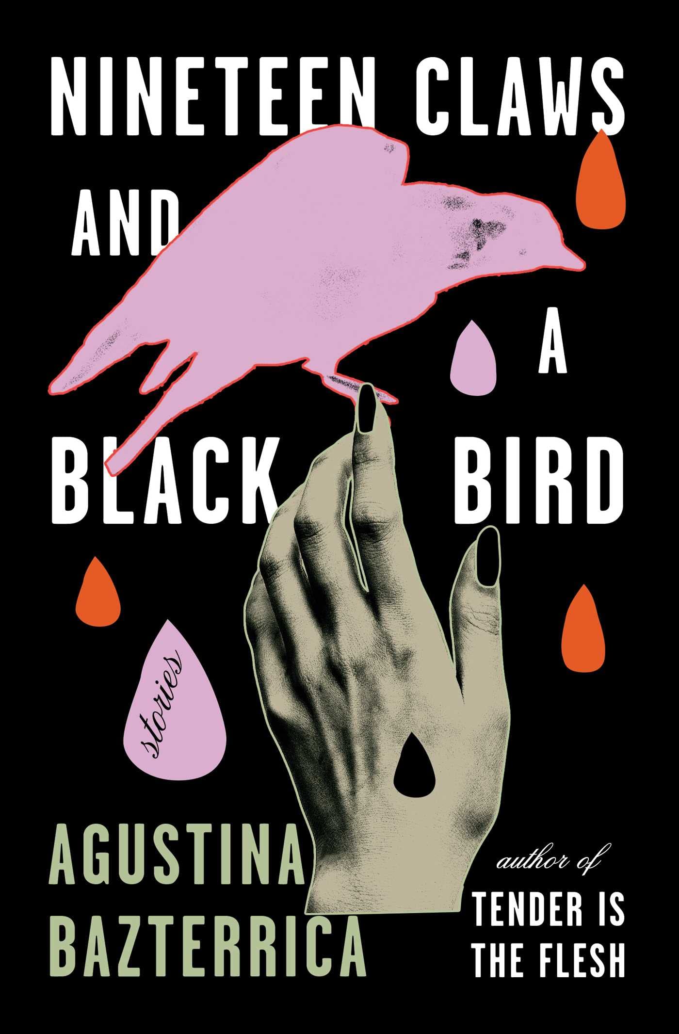 Nineteen Claws and a Black Bird