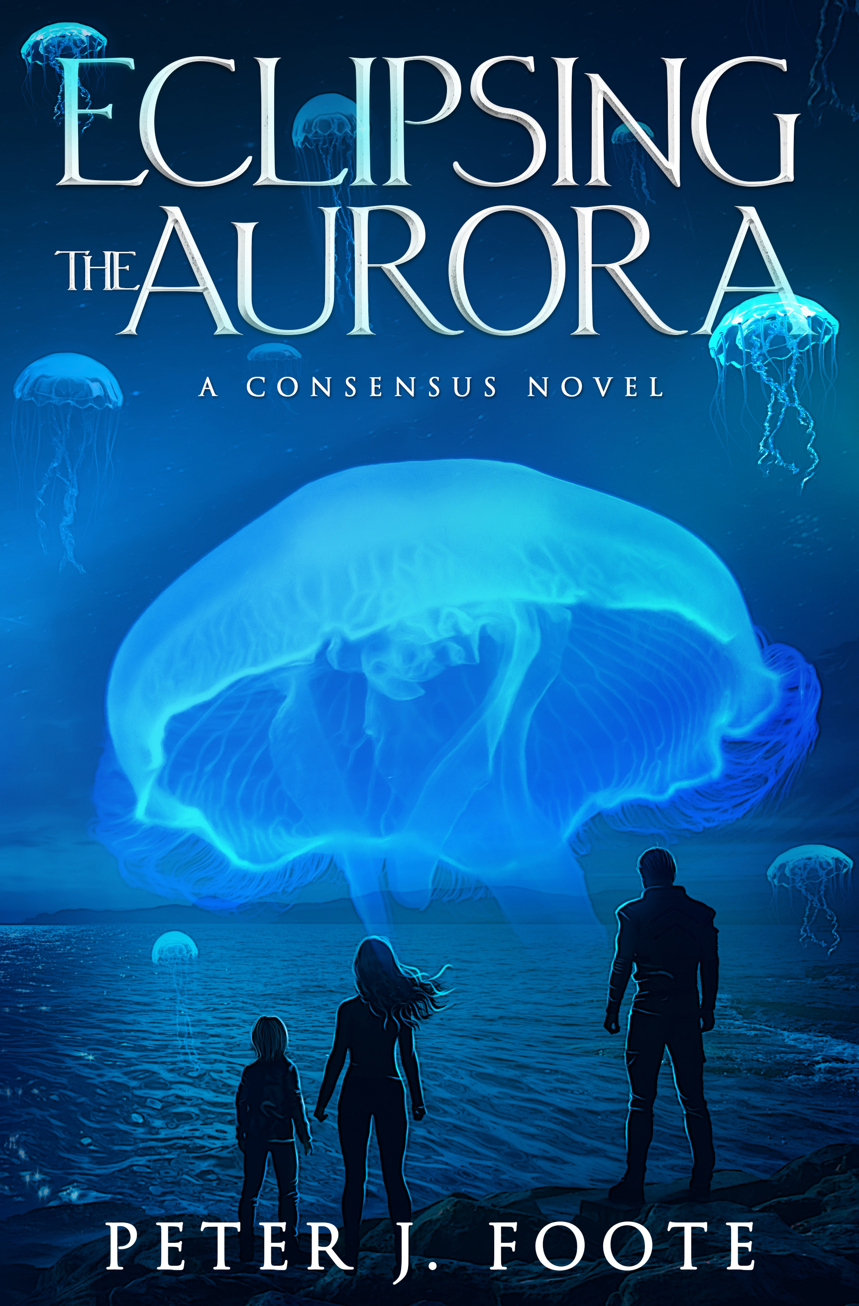 Consensus Universe book cover 1