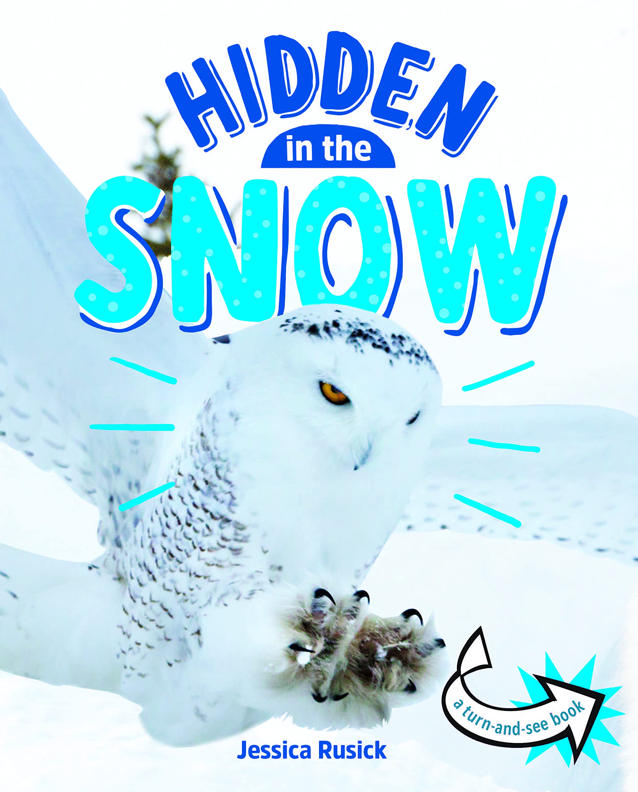 Snow S Hidden Life Biotic Or Abiotic Unveiled - 6178krz