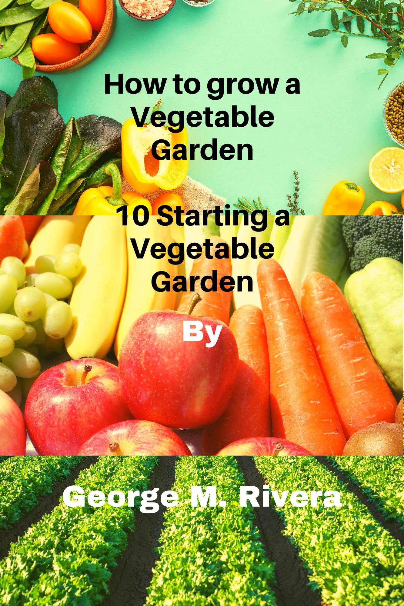 How to grow a Vegetable Garden 10 Starting a Vegetable Garden by