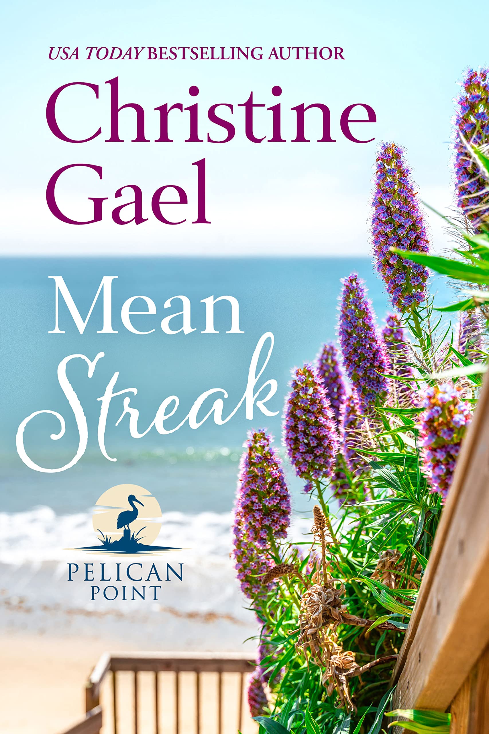 Pelican Point book cover 2
