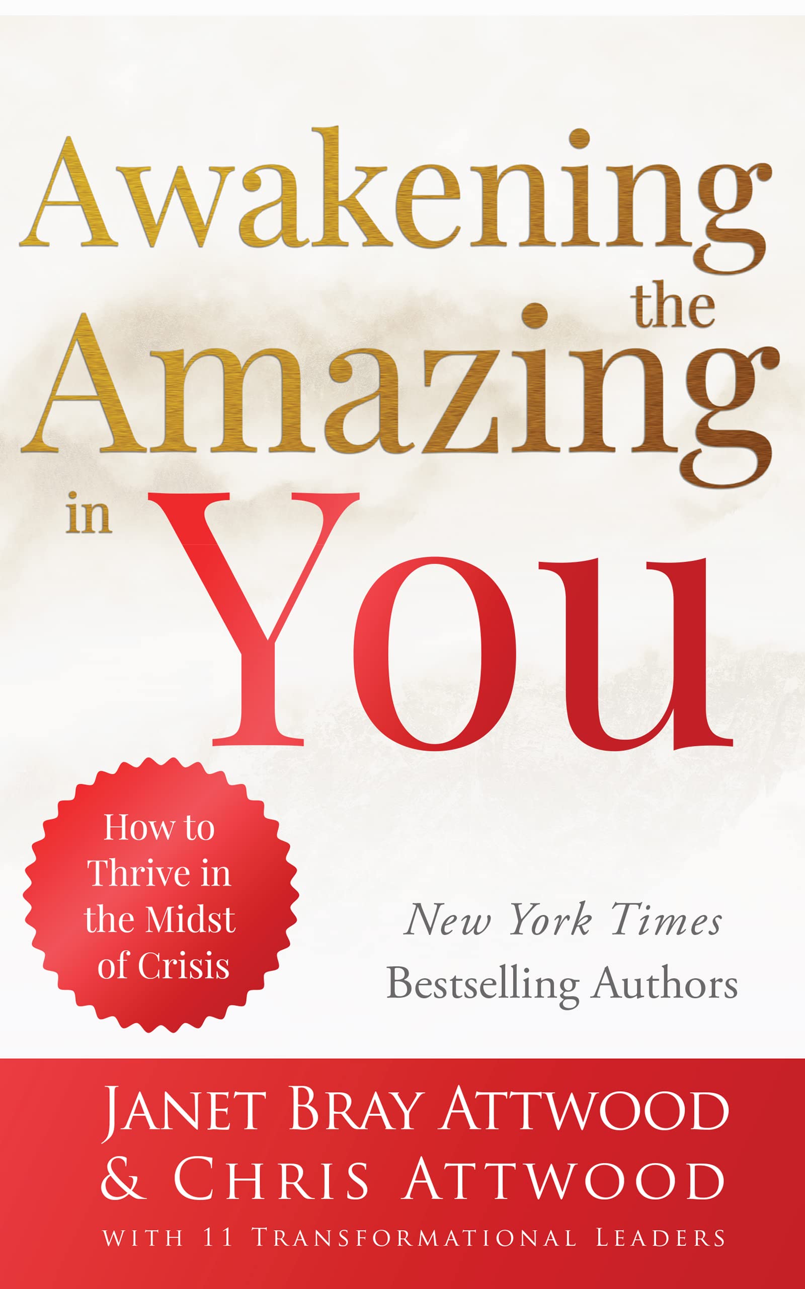 Awakening the Amazing in You: How to Thrive in the Midst of Chaos by ...