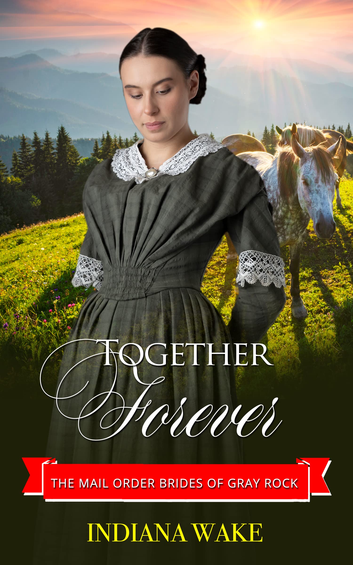 The Mail Order Brides of Gray Rock book cover 3