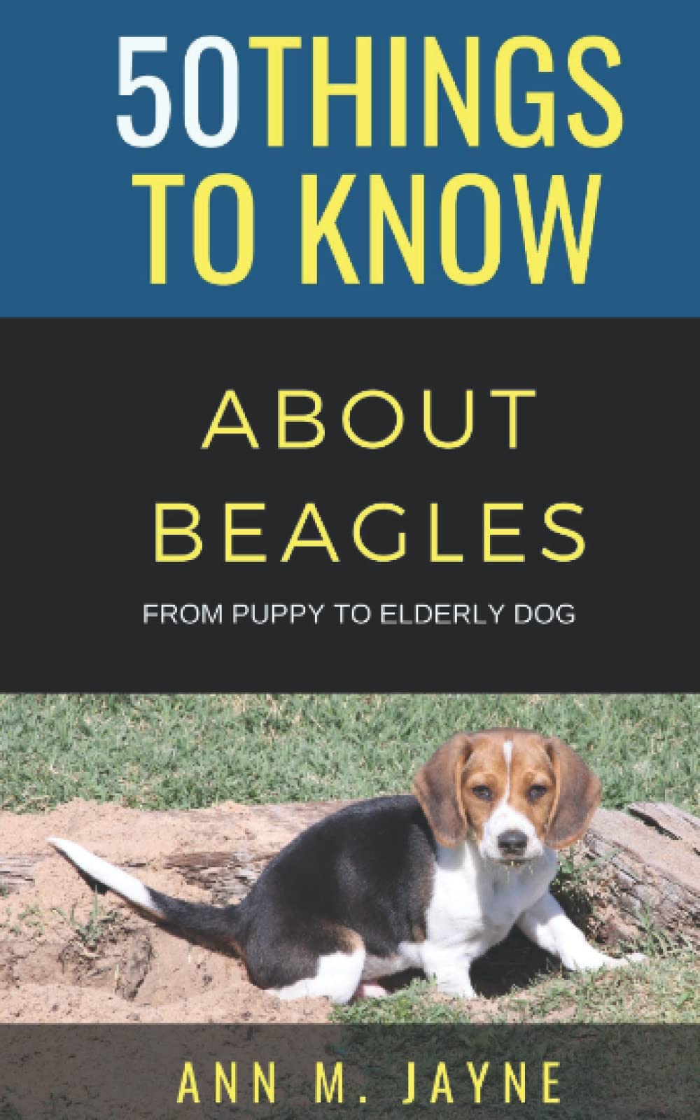 50 Things to Know About Beagles From Puppy to Elderly Dog by Ann M