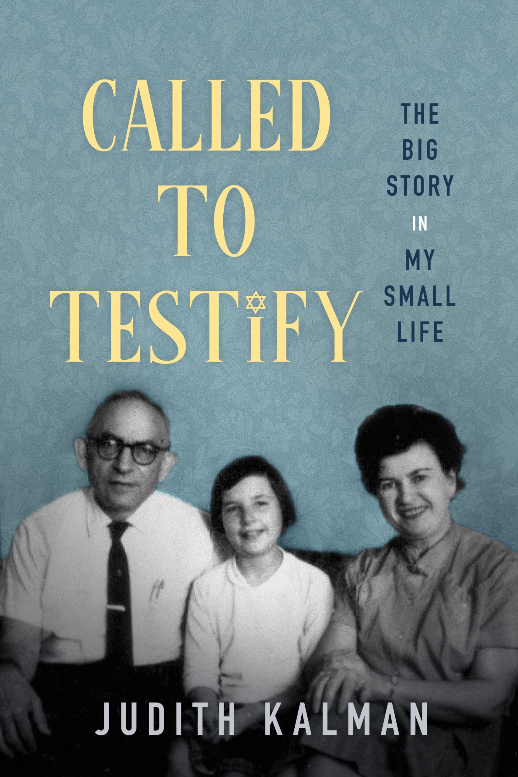 Called to Testify: The Big Story in My Small Life by Judith Kalman ...