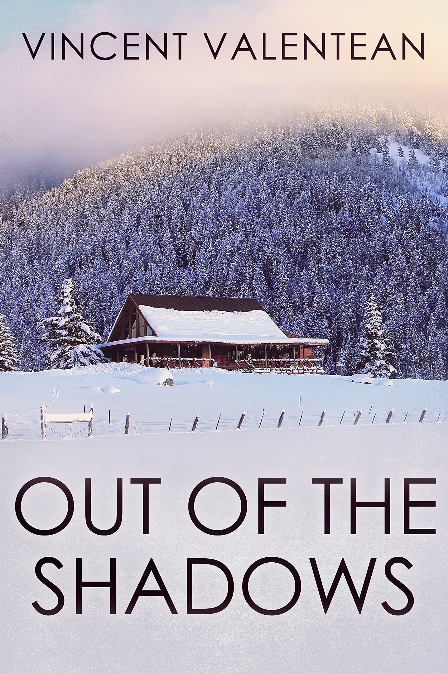 Out of the Shadows book cover