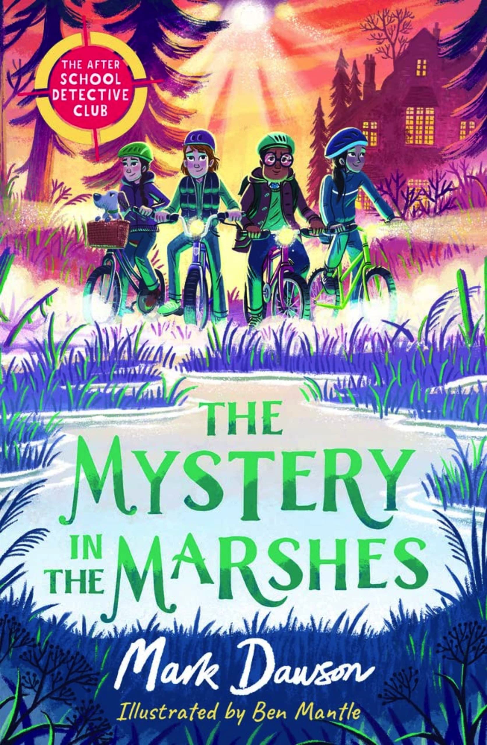 Mystery in the Marshes book cover