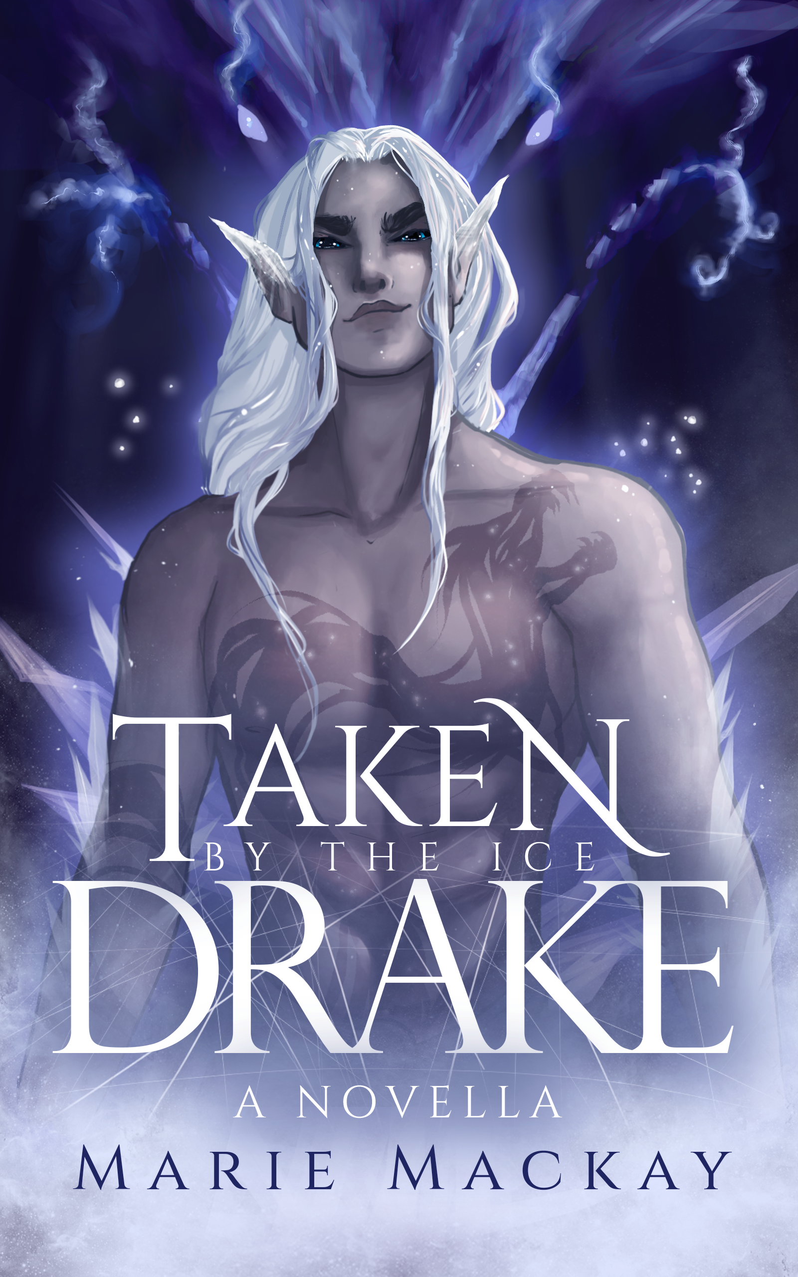 Taken by the Ice Drake book cover