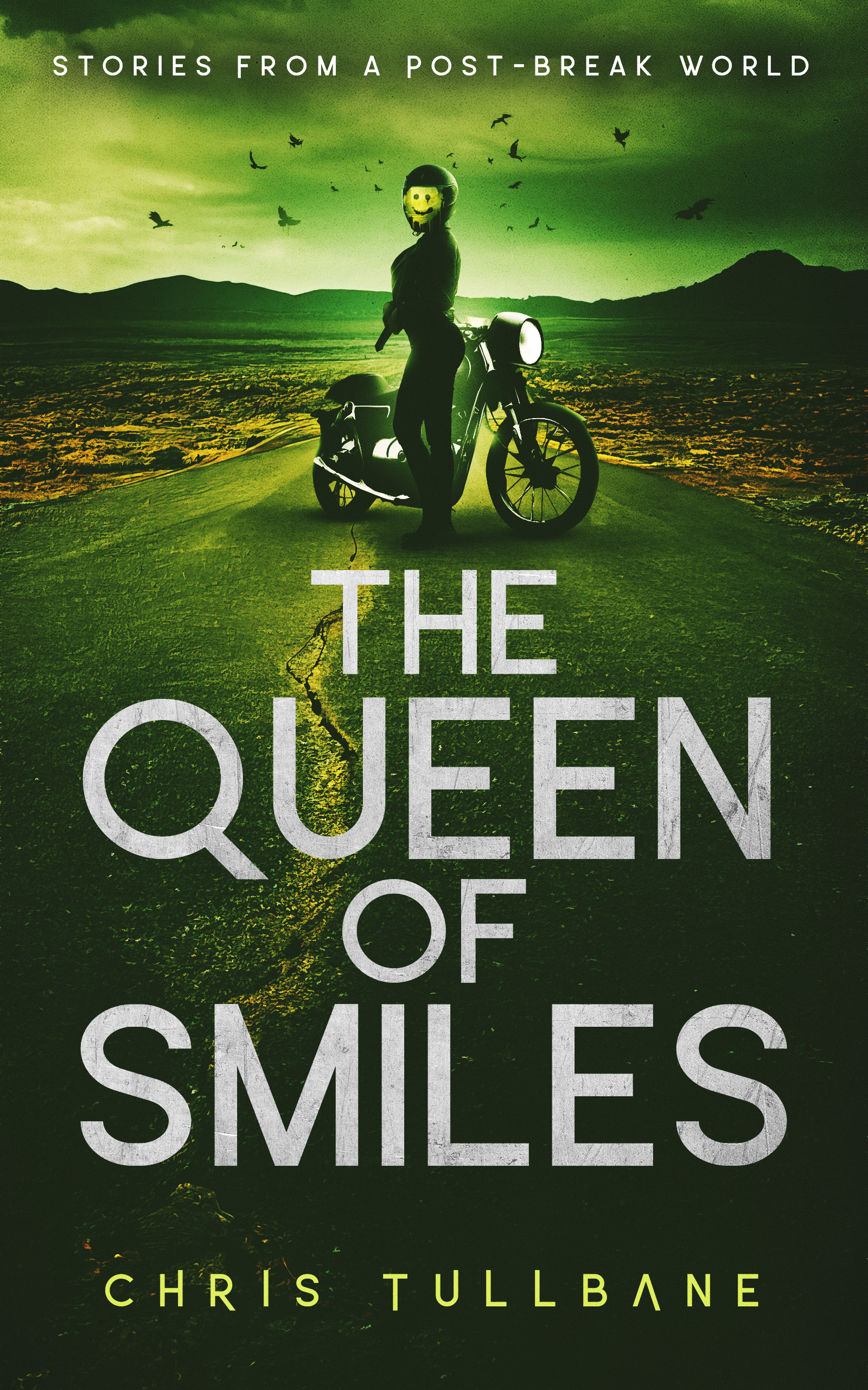 The Queen of Smiles by Chris Tullbane Goodreads