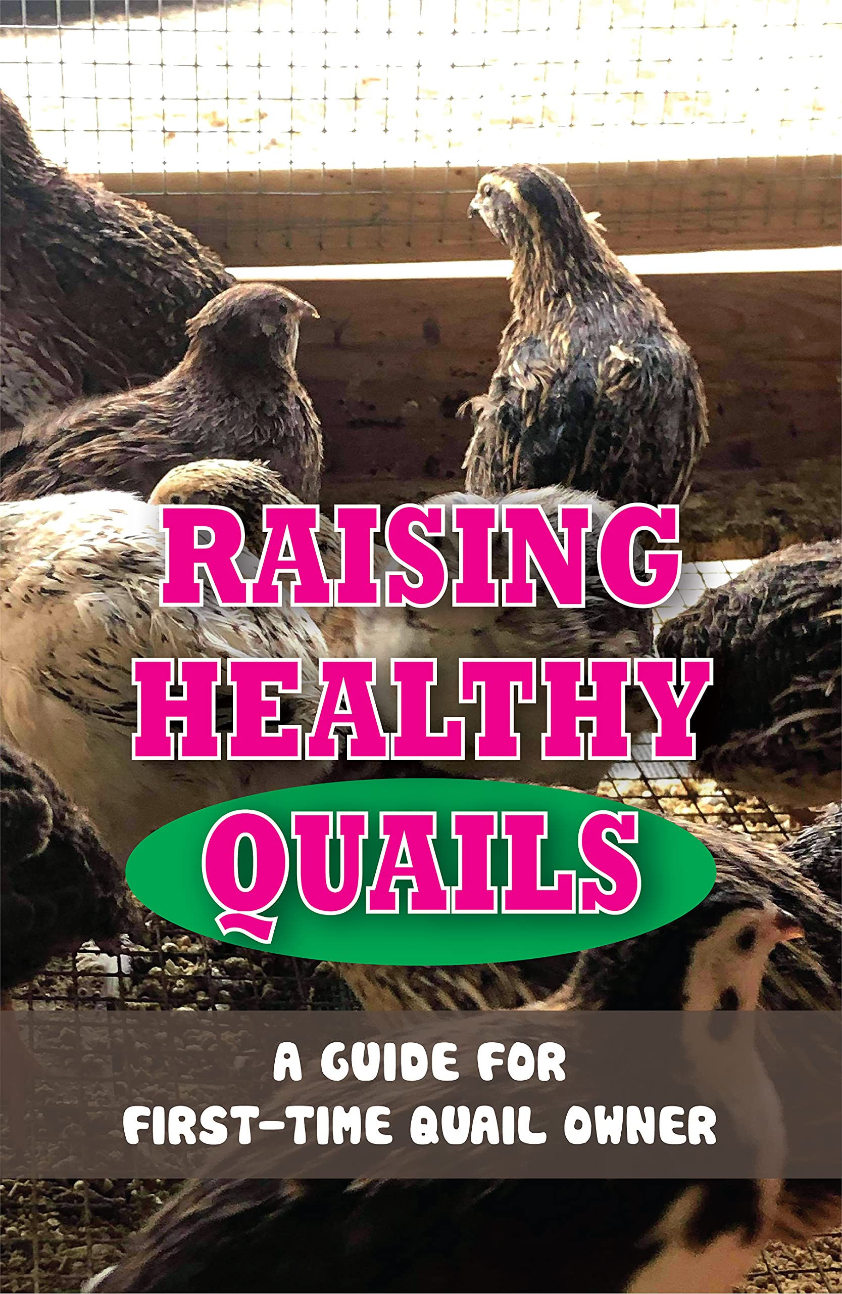 Raising Healthy Quails A Guide For FirstTime Quail Owner How To