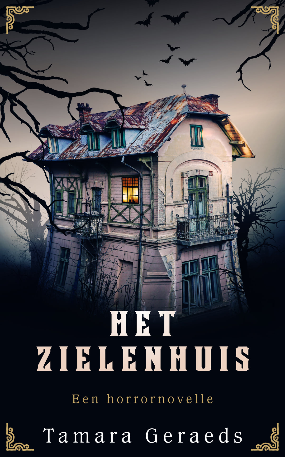 Het zielenhuis