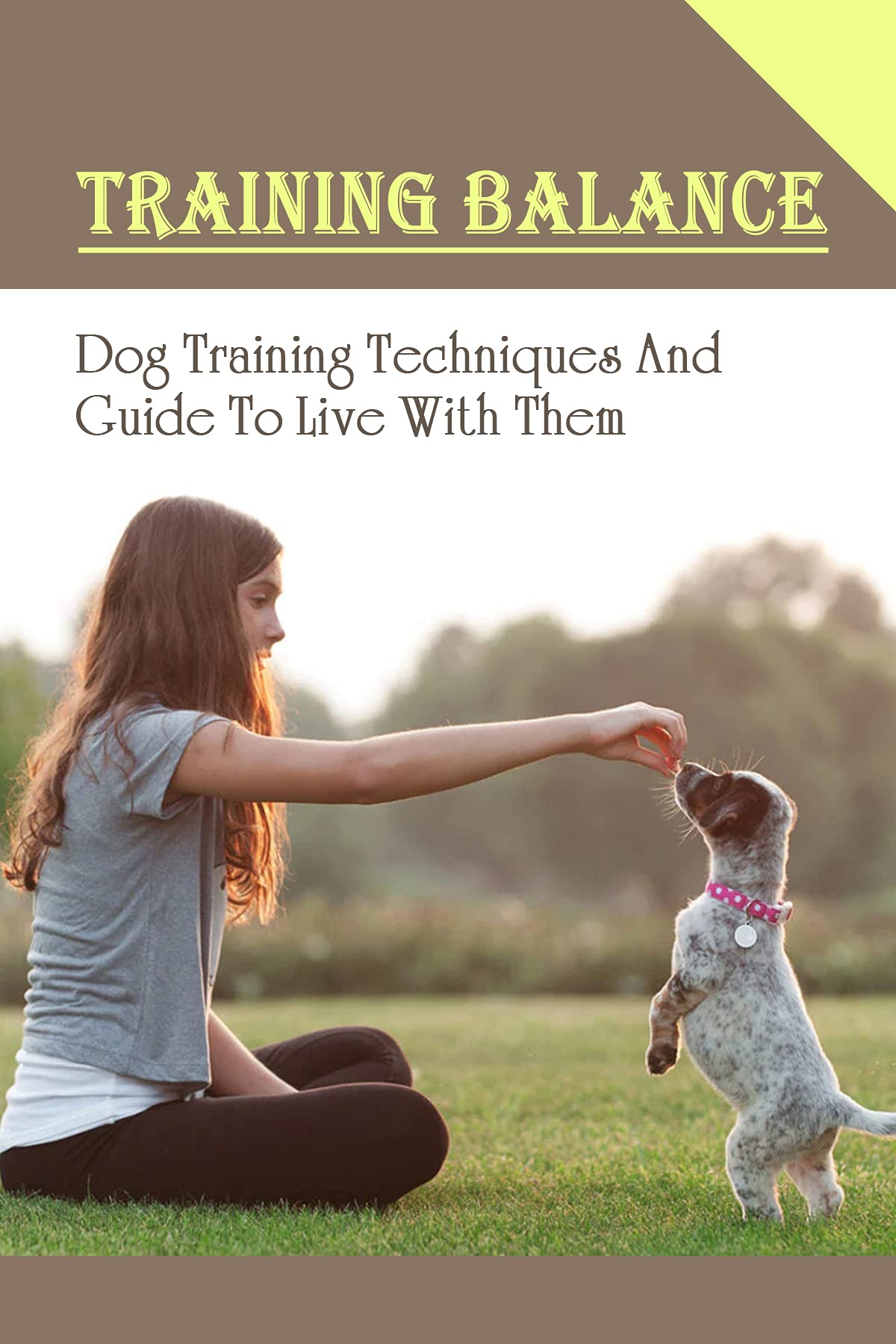 Training Balance Dog Training Techniques And Guide To Live With Them