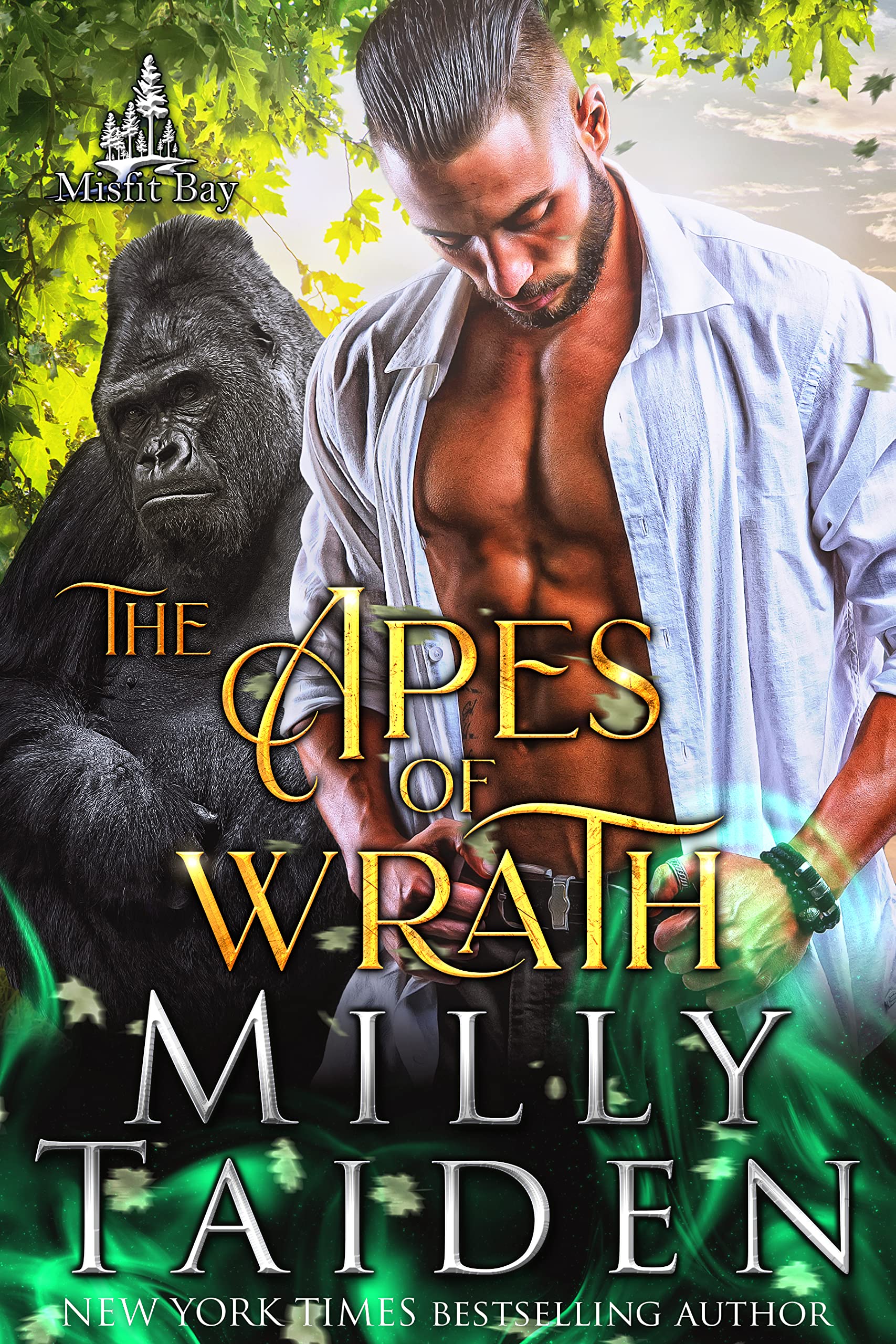 Misfit Bay book cover 2