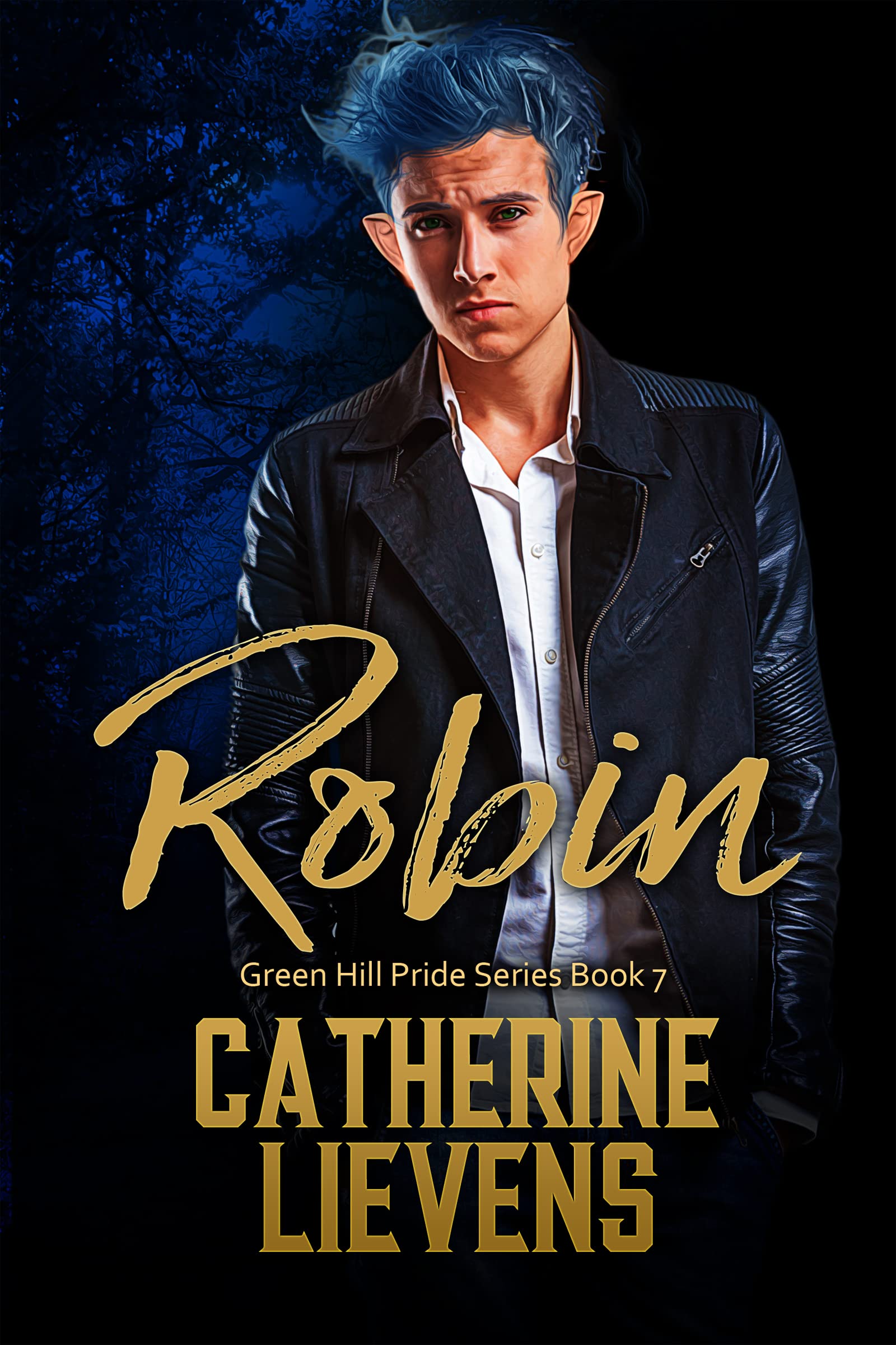 Robin book cover