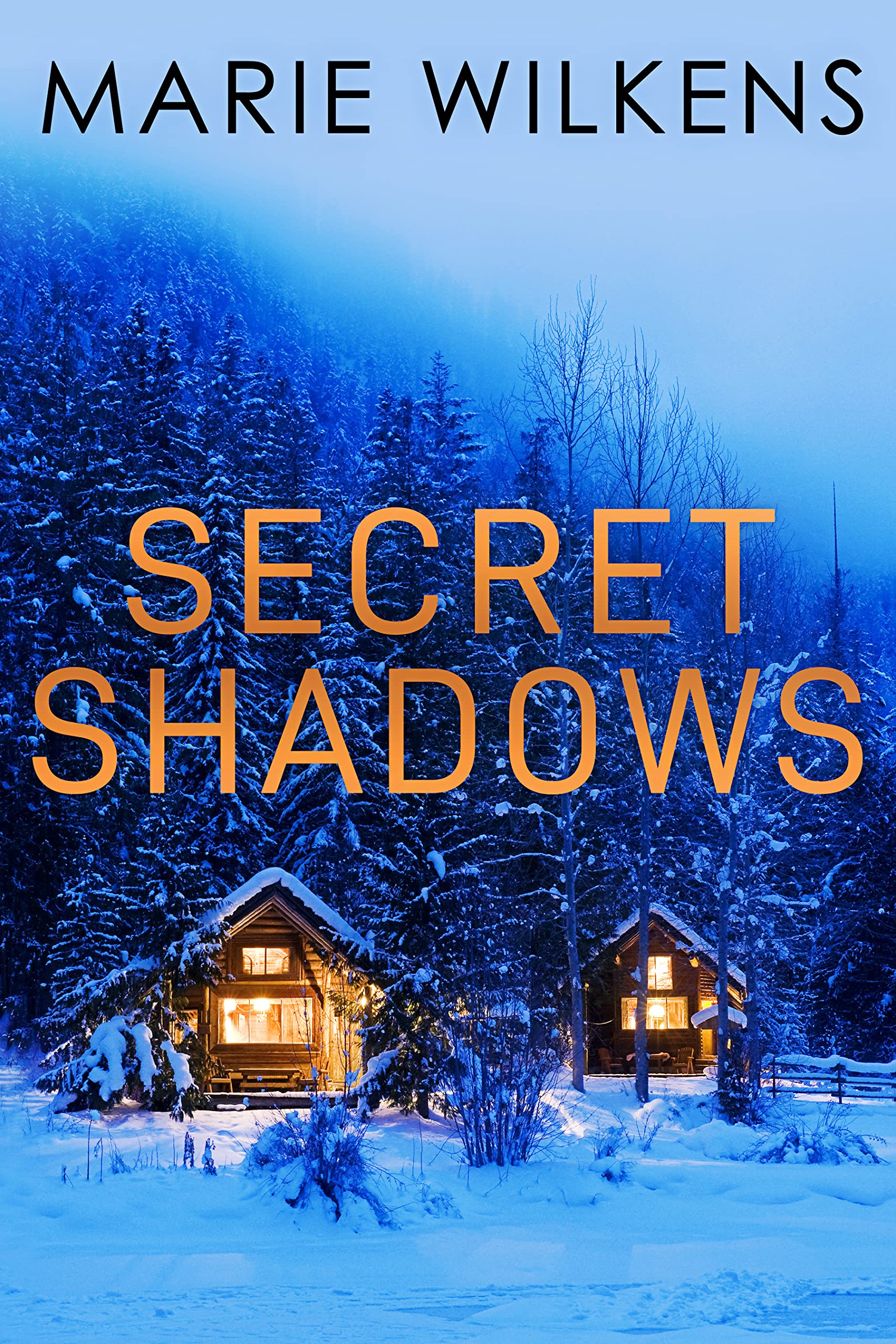 Secret Shadows: A Riveting Small Town Kidnapping Mystery Boxset