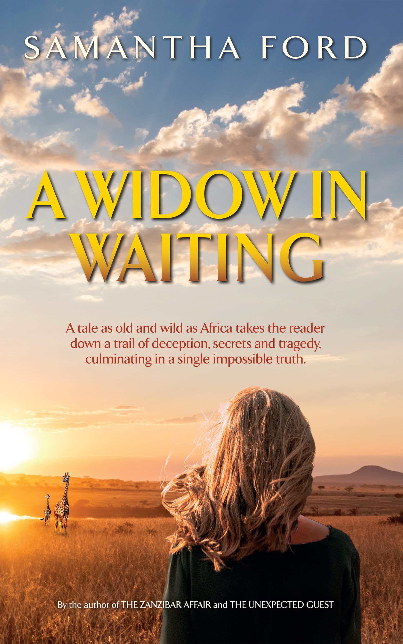 A Widow In Waiting : A Novel Out of Africa