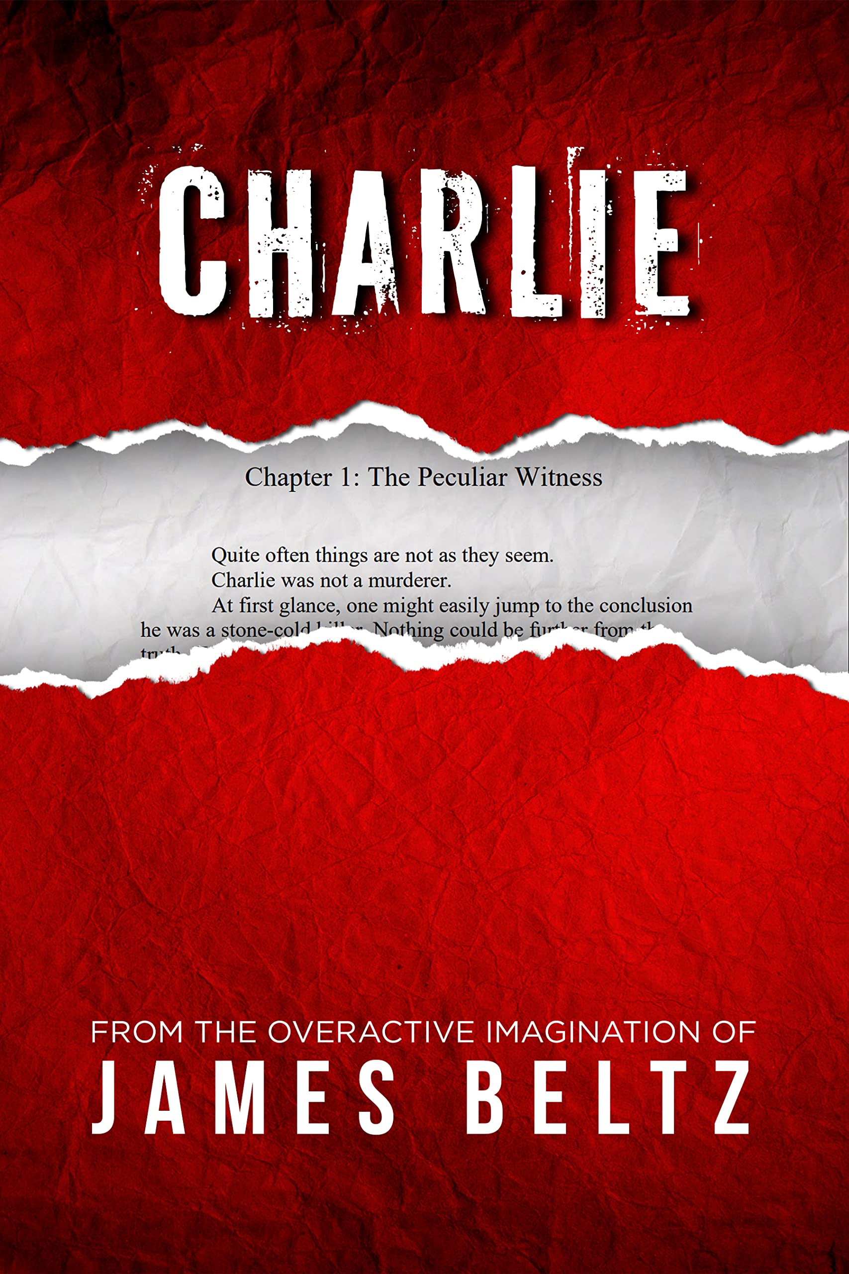 Charlie: Nite Trips - Book 3
