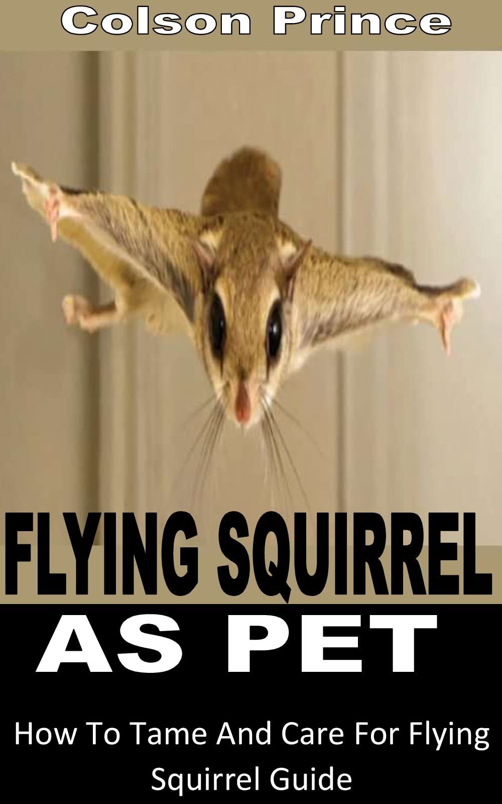 FLYING SQUIRREL AS PET How To Tame And Care For Flying Squirrel Guide