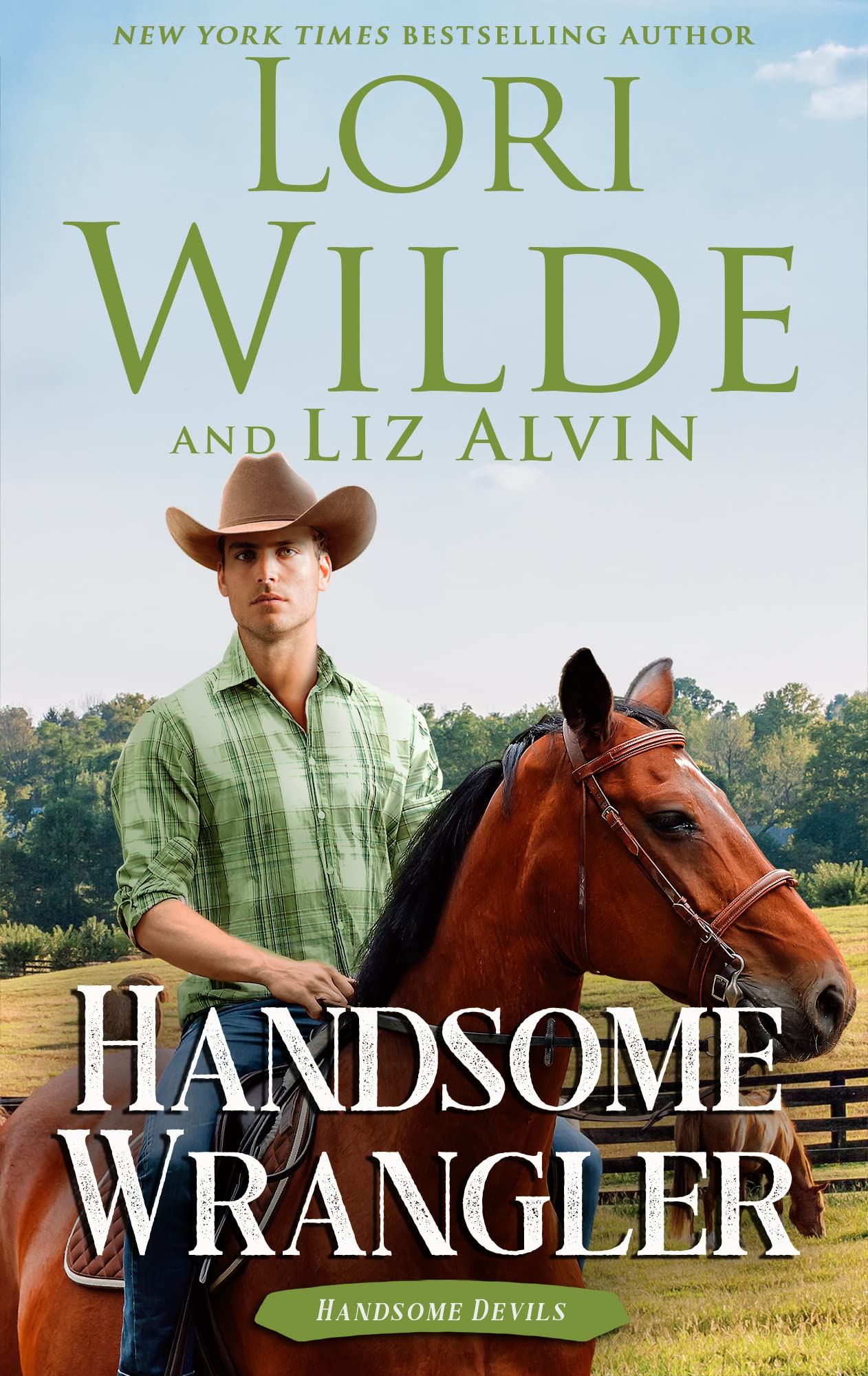 Handsome Wrangler: A humorous romantic comedy