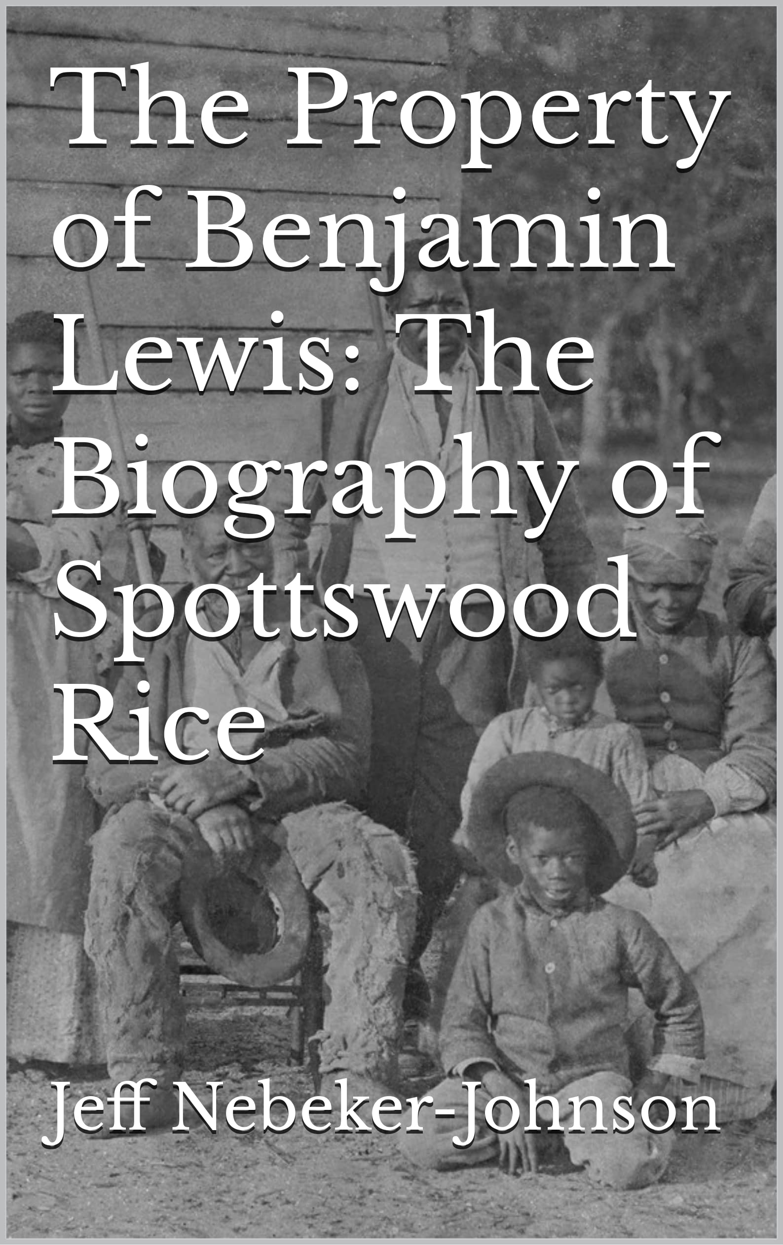 The Property of Benjamin Lewis: The Biography of Spottswood Rice