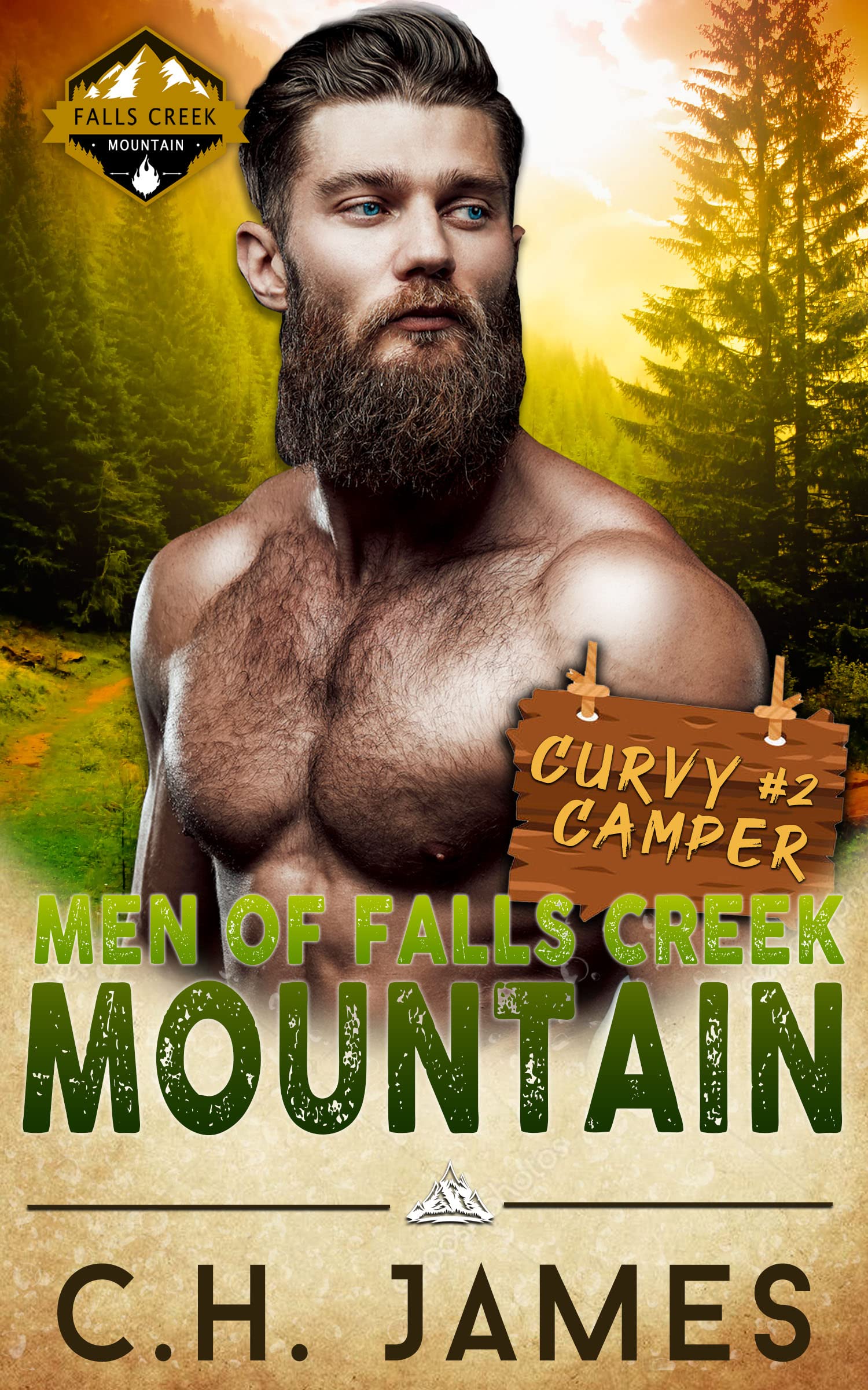 Curvy Camper book cover