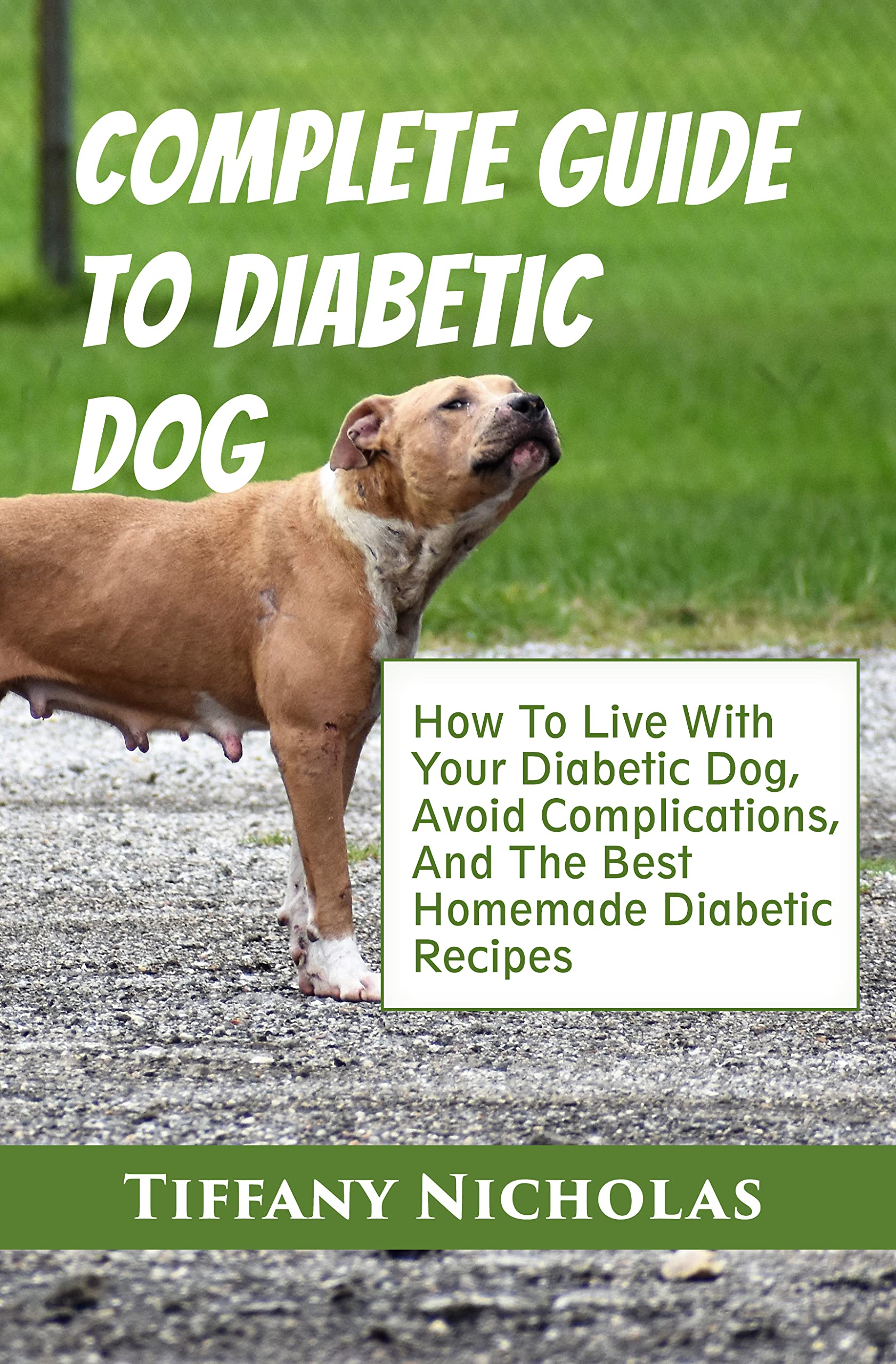 Complete Guide To Diabetic Dog How To Live With Your Diabetic Dog