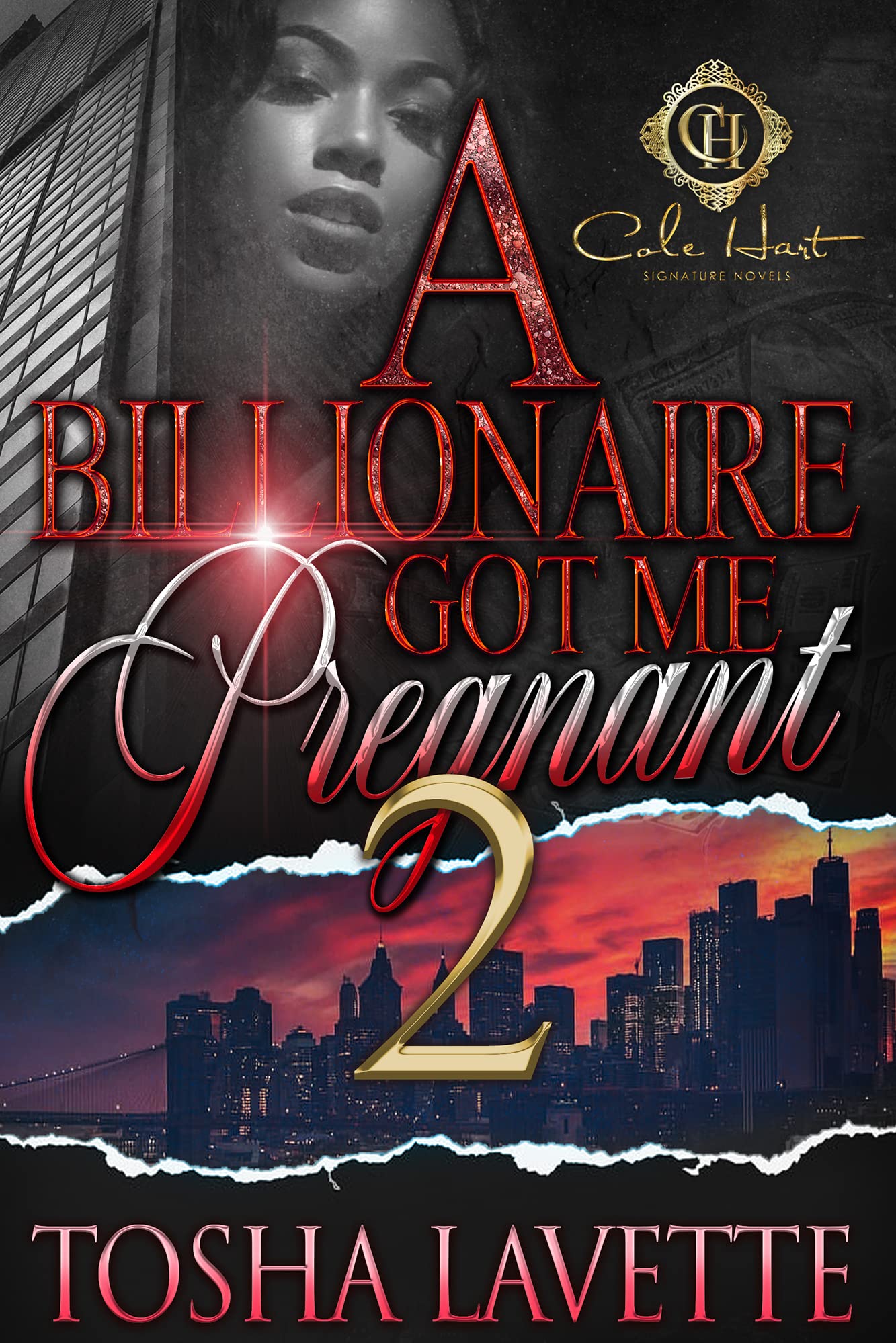 A Billionaire Got Me Pregnant 2 book cover