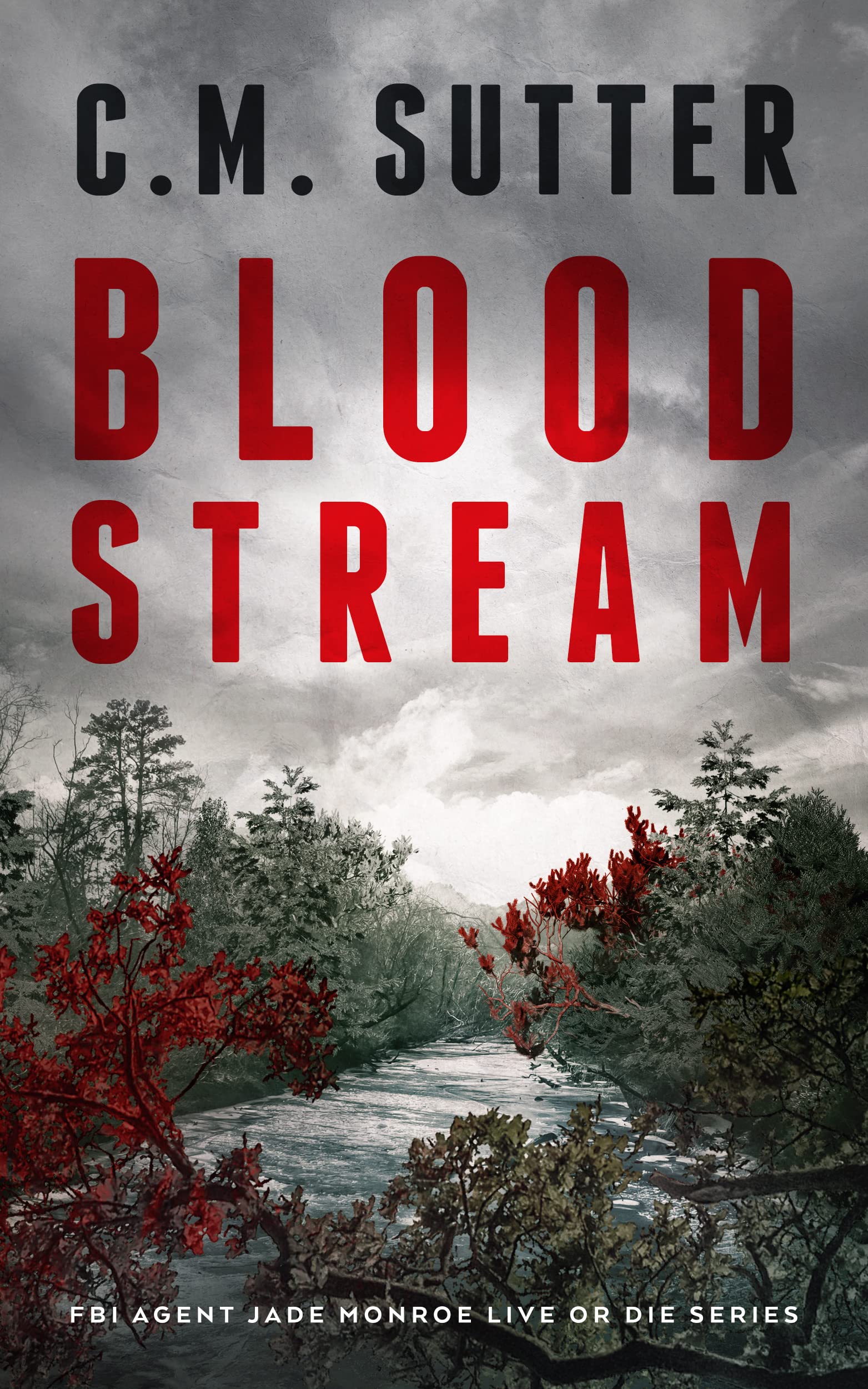 Blood Stream book cover