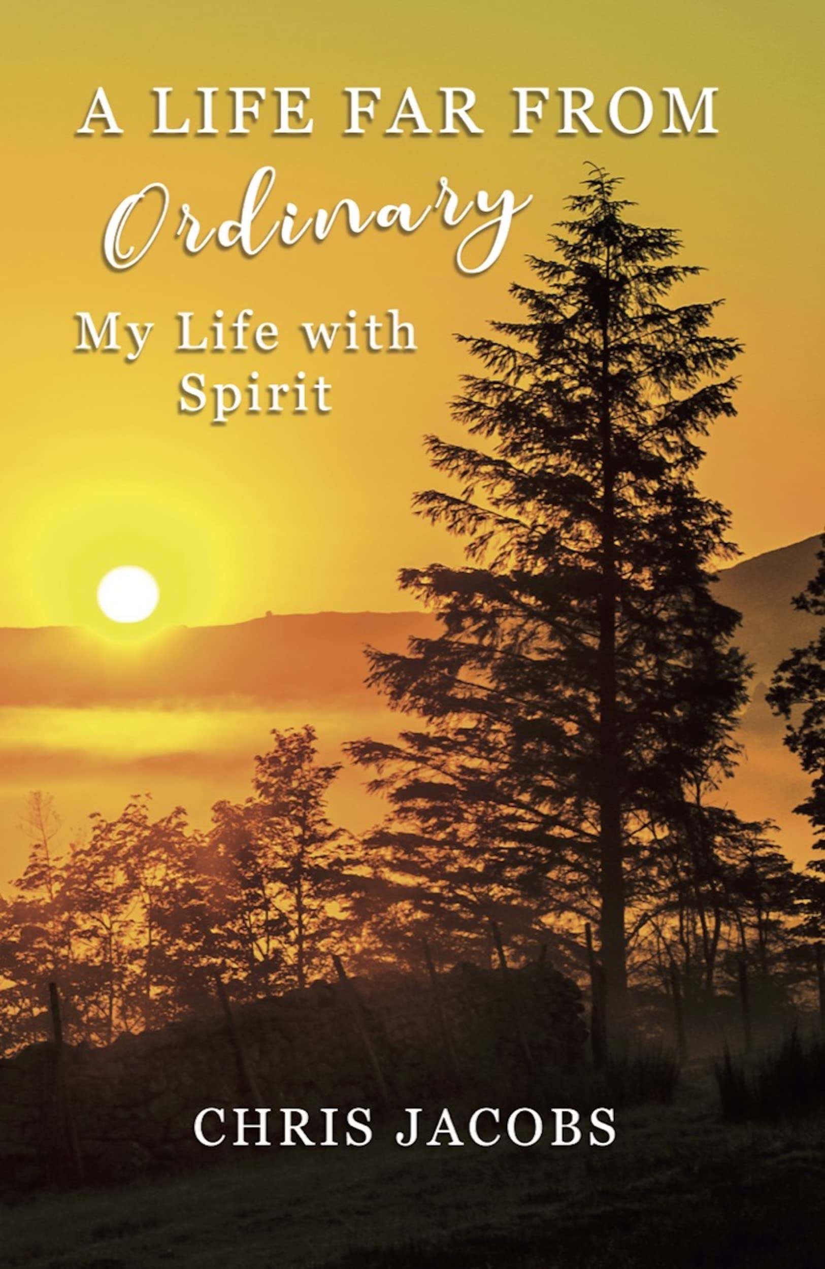 A Life Far From Ordinary: My Life With Spirit