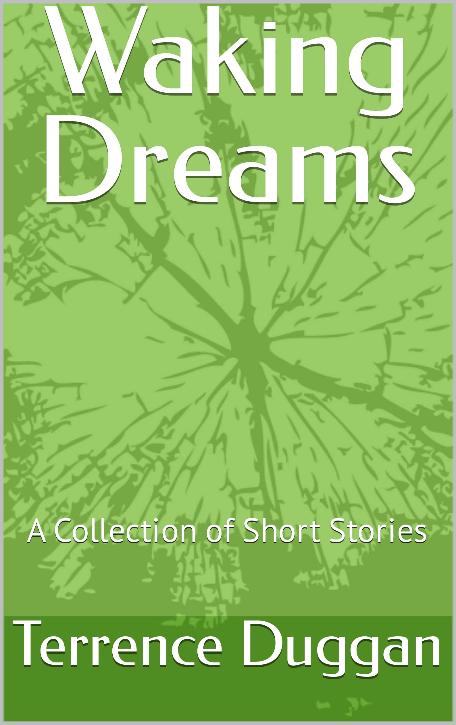 Waking Dreams A Collection of Short Stories by Terrence Duggan Goodreads