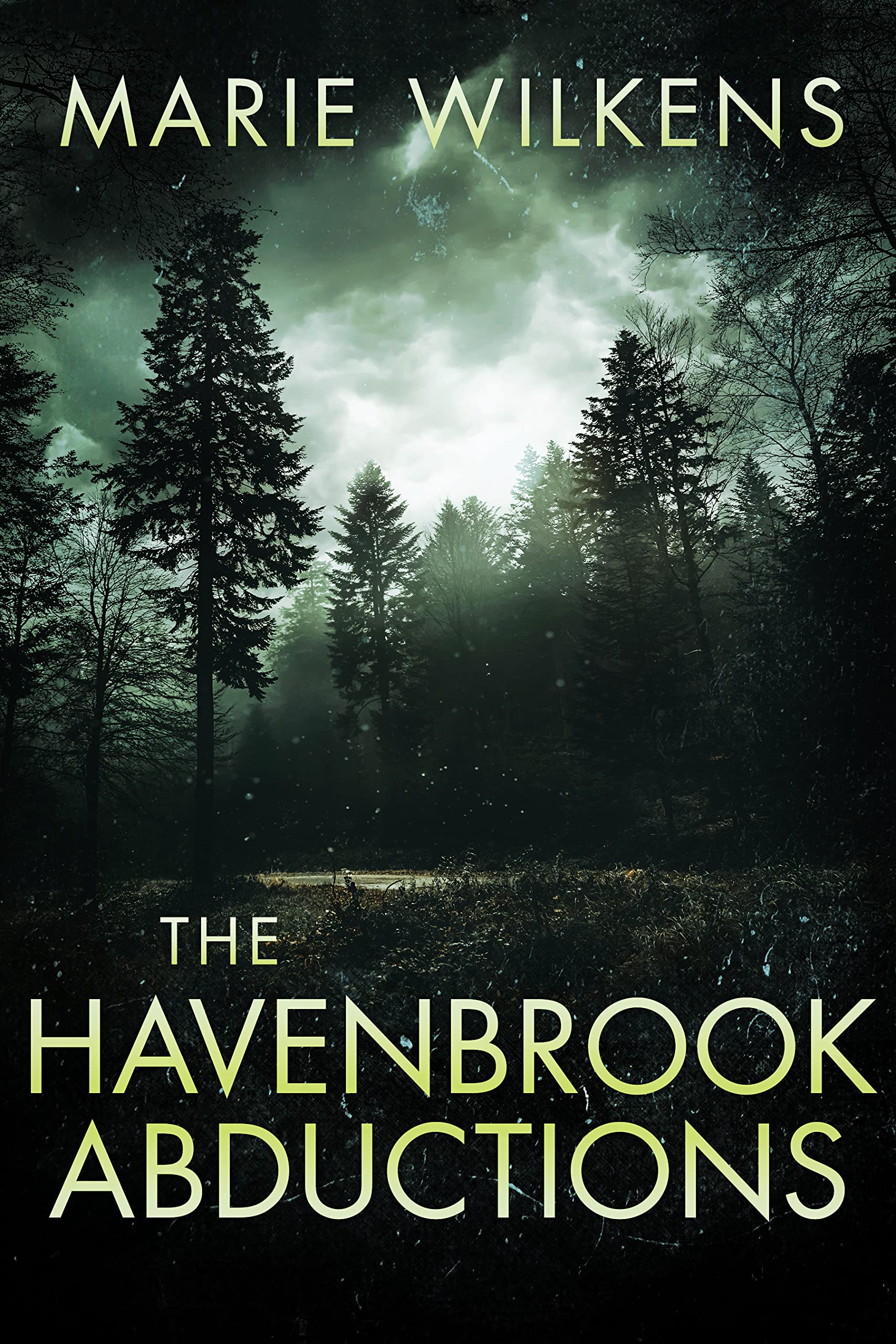 The Havenbrook Abductions