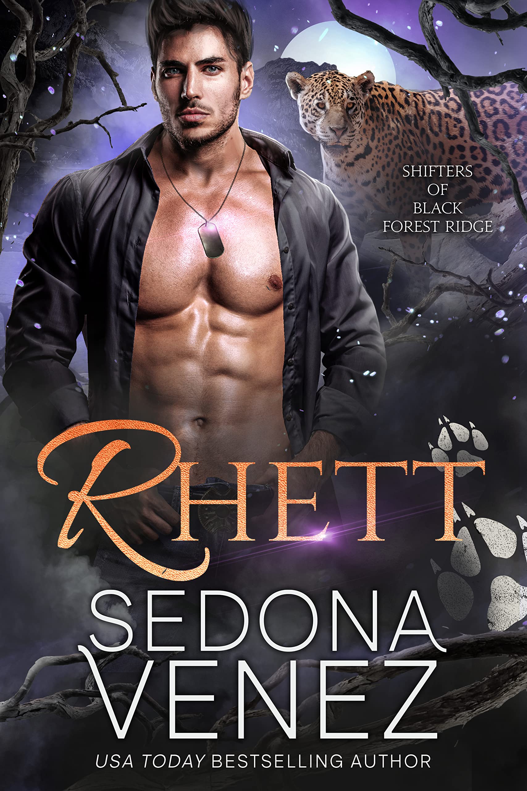 Shifters of Black Forest Ridge book cover 2