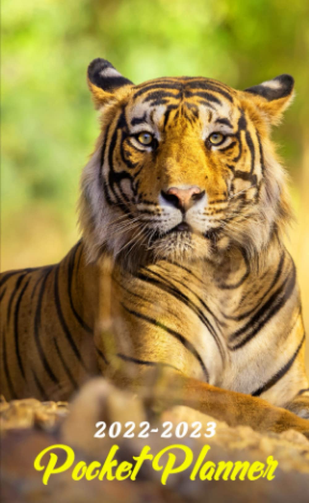 2 Year Tiger 2022 2023 Pocket Planner 2022 2023 Monthly Pocket Planner 