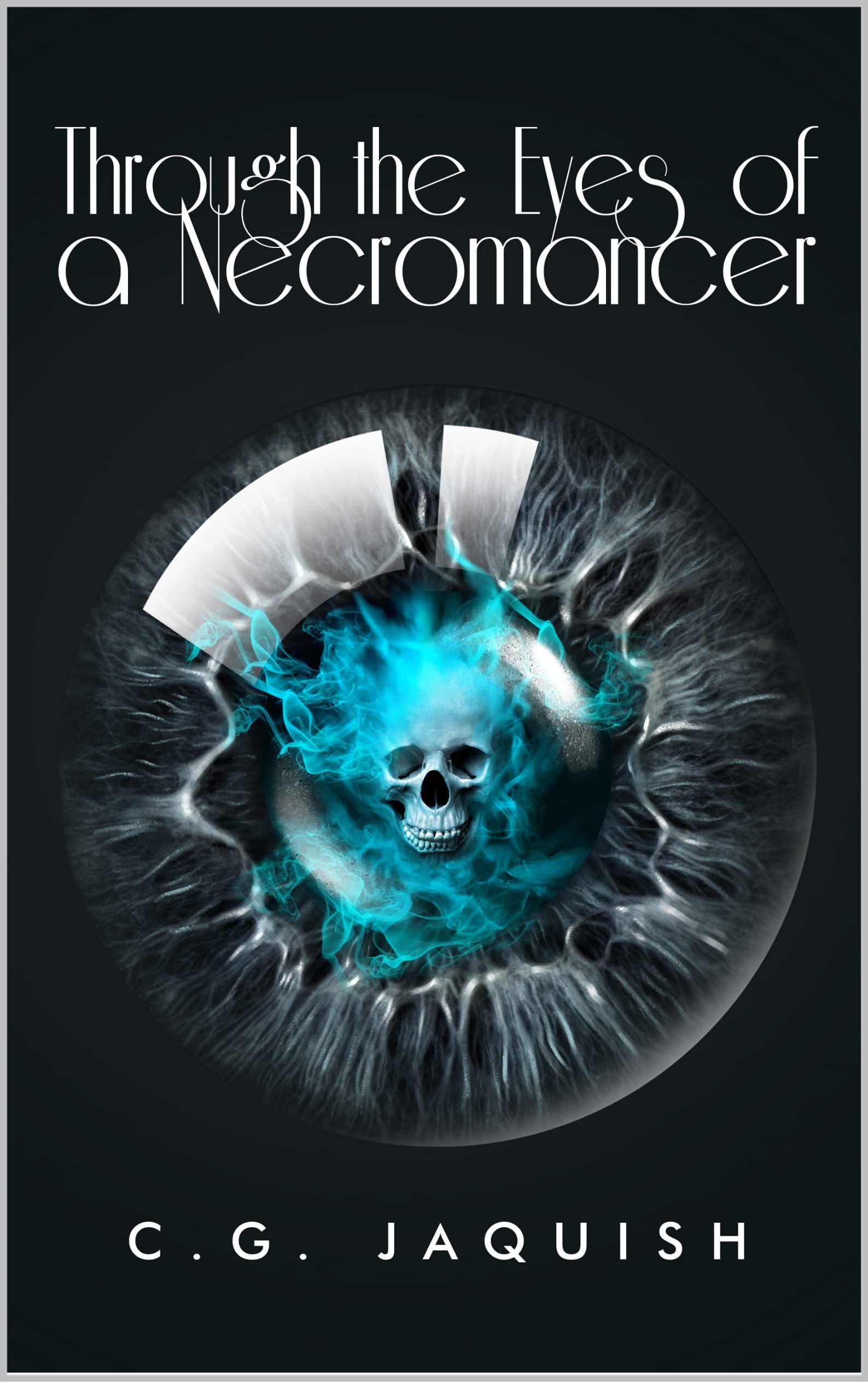Through the Eyes of a Necromancer: Book Seven
