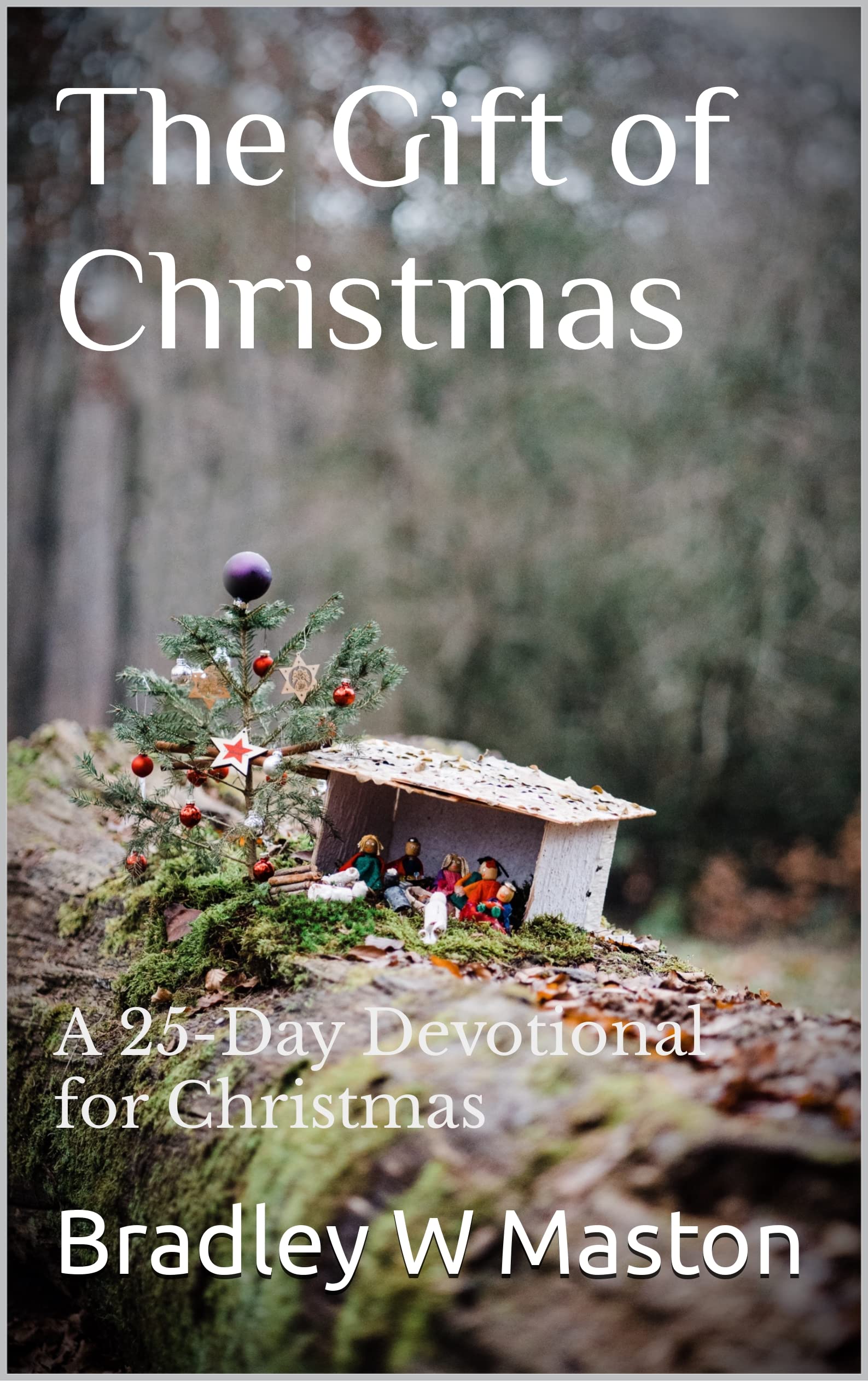 The Gift Of Christmas 