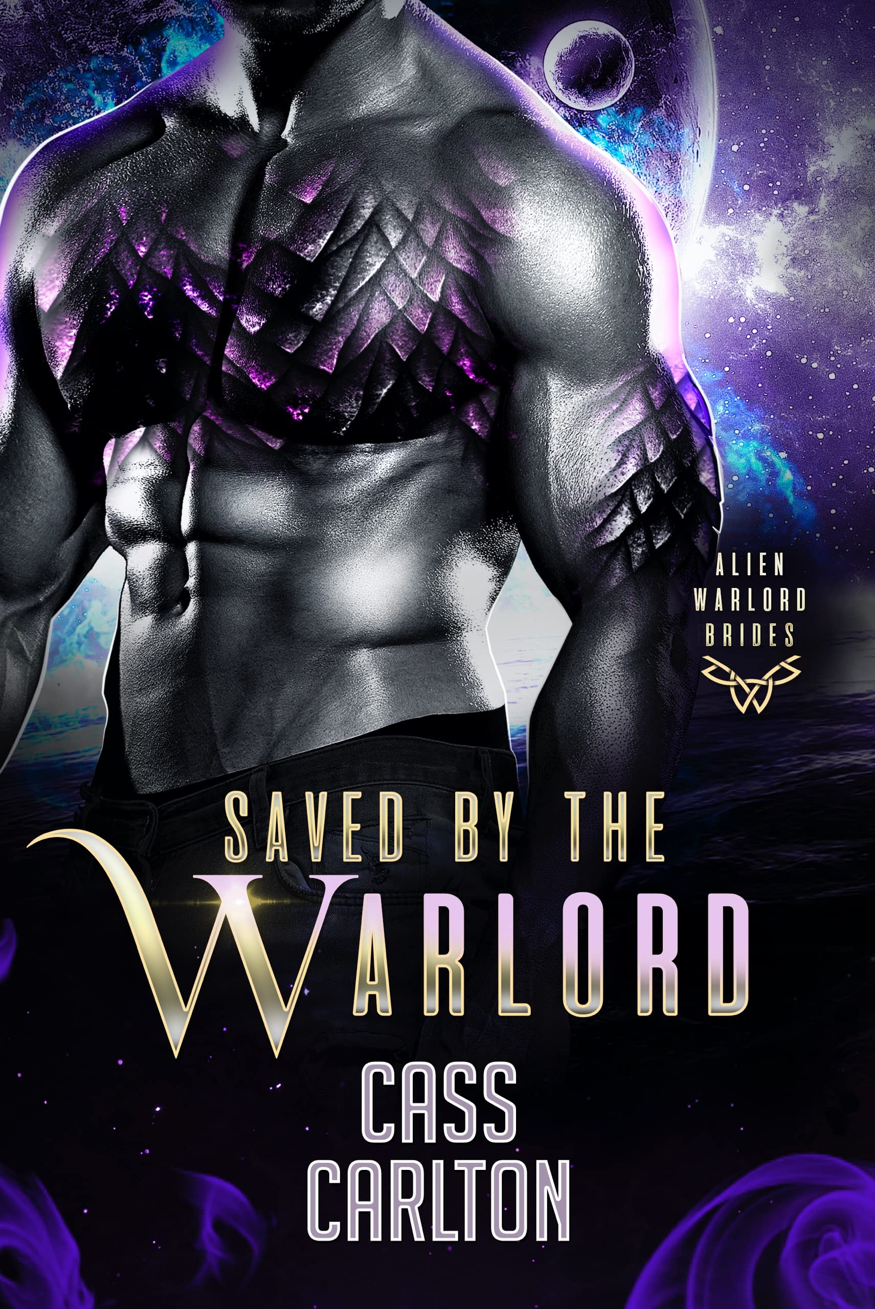 Saved by the Warlord